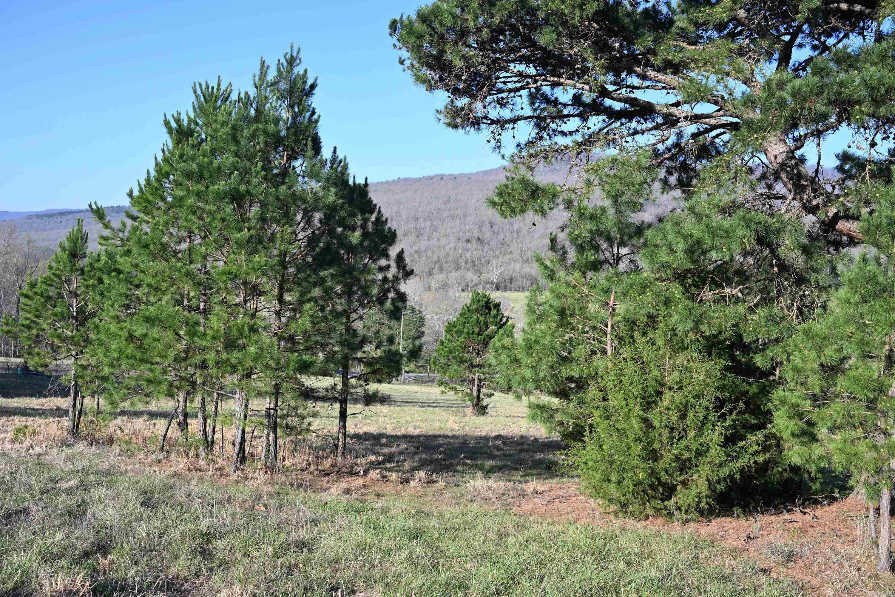 12278 S Hwy 27  Marshall, AR