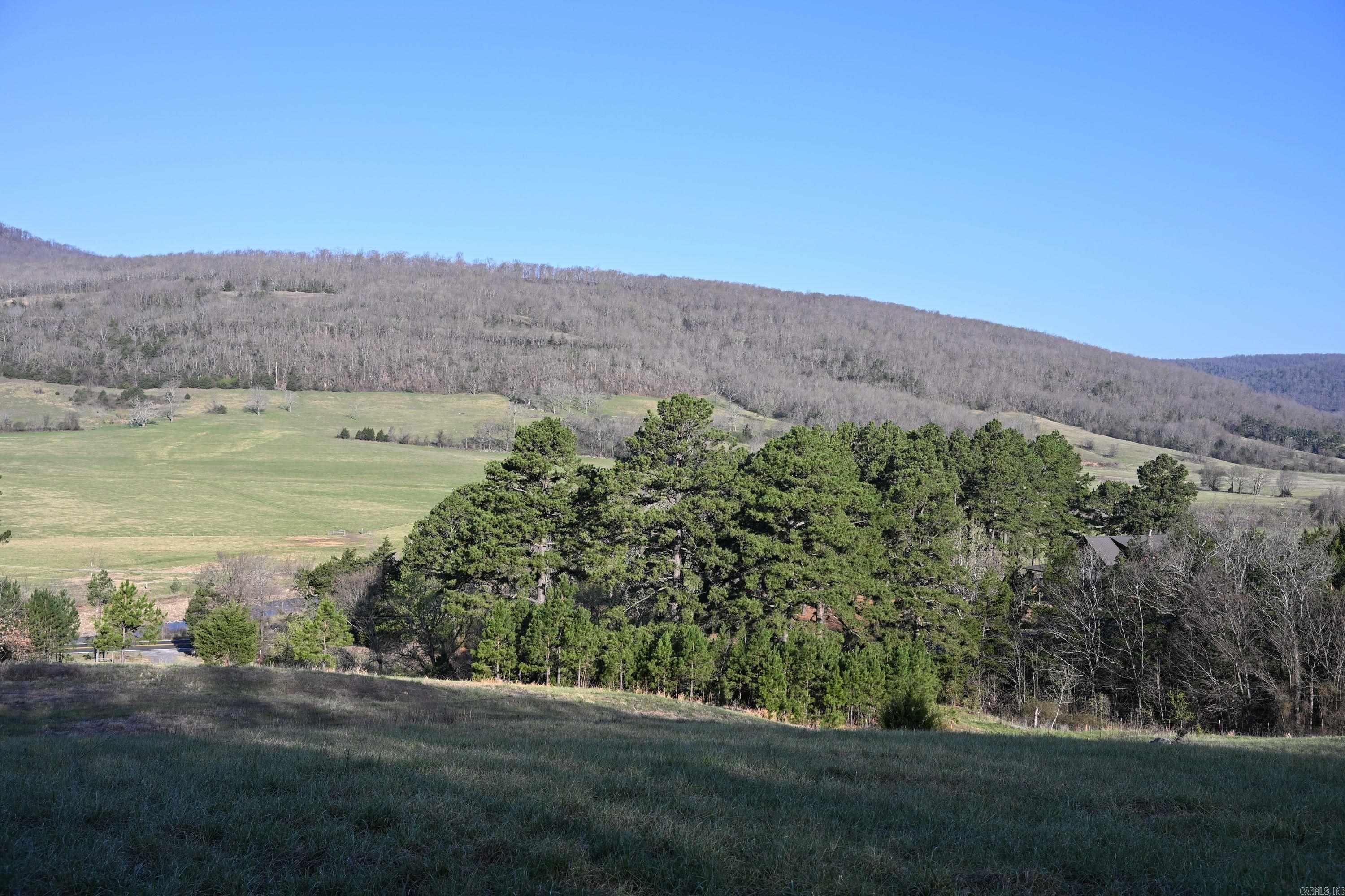 12278 S Hwy 27  Marshall, AR