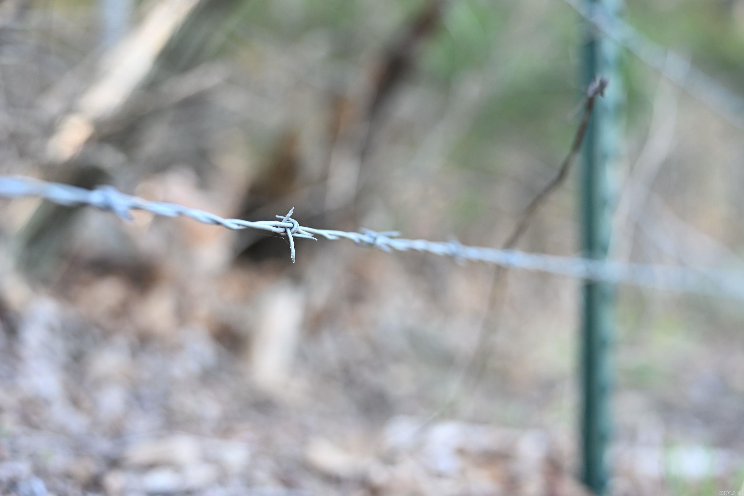 12278 S Hwy 27  Marshall, AR