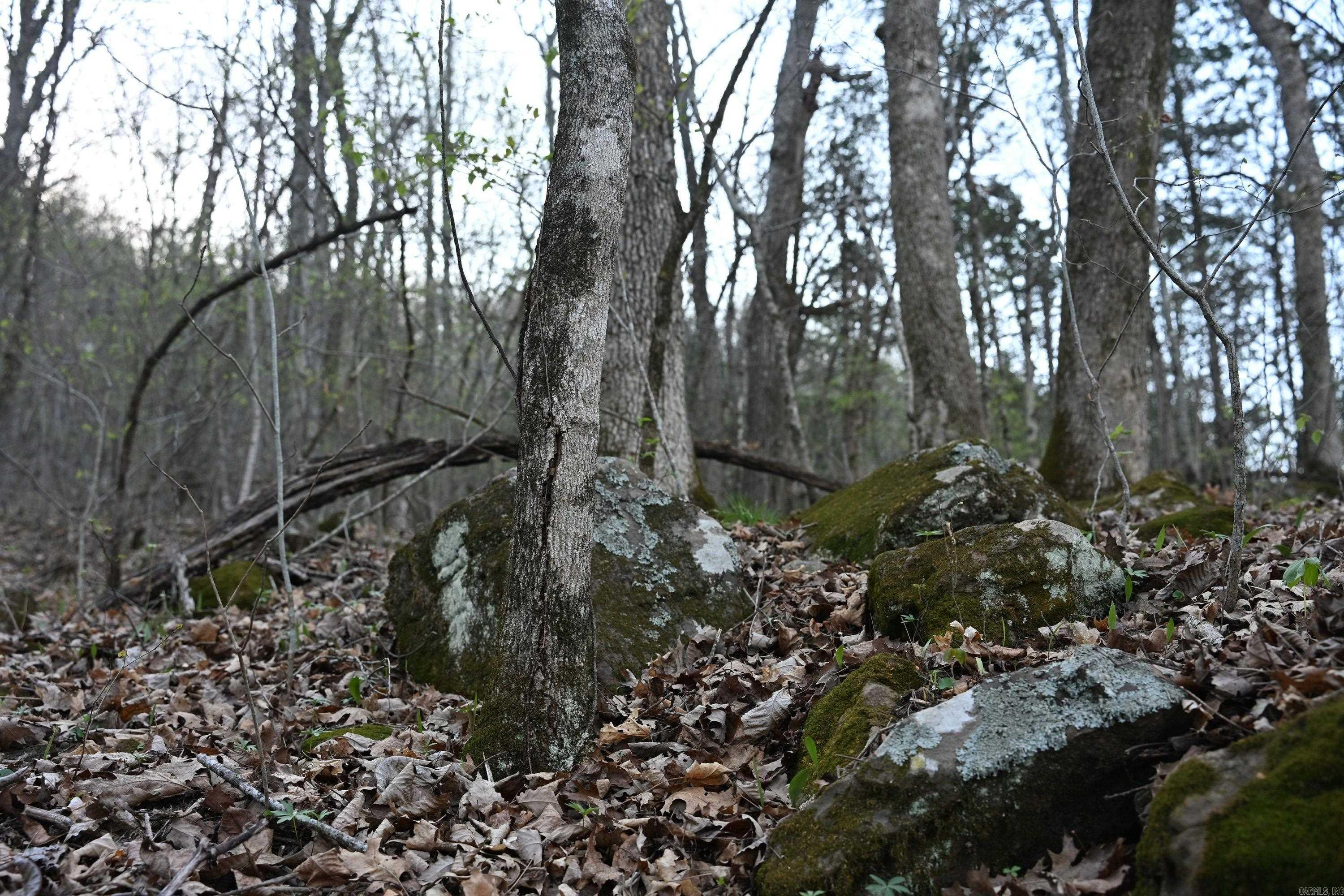 12278 S Hwy 27  Marshall, AR