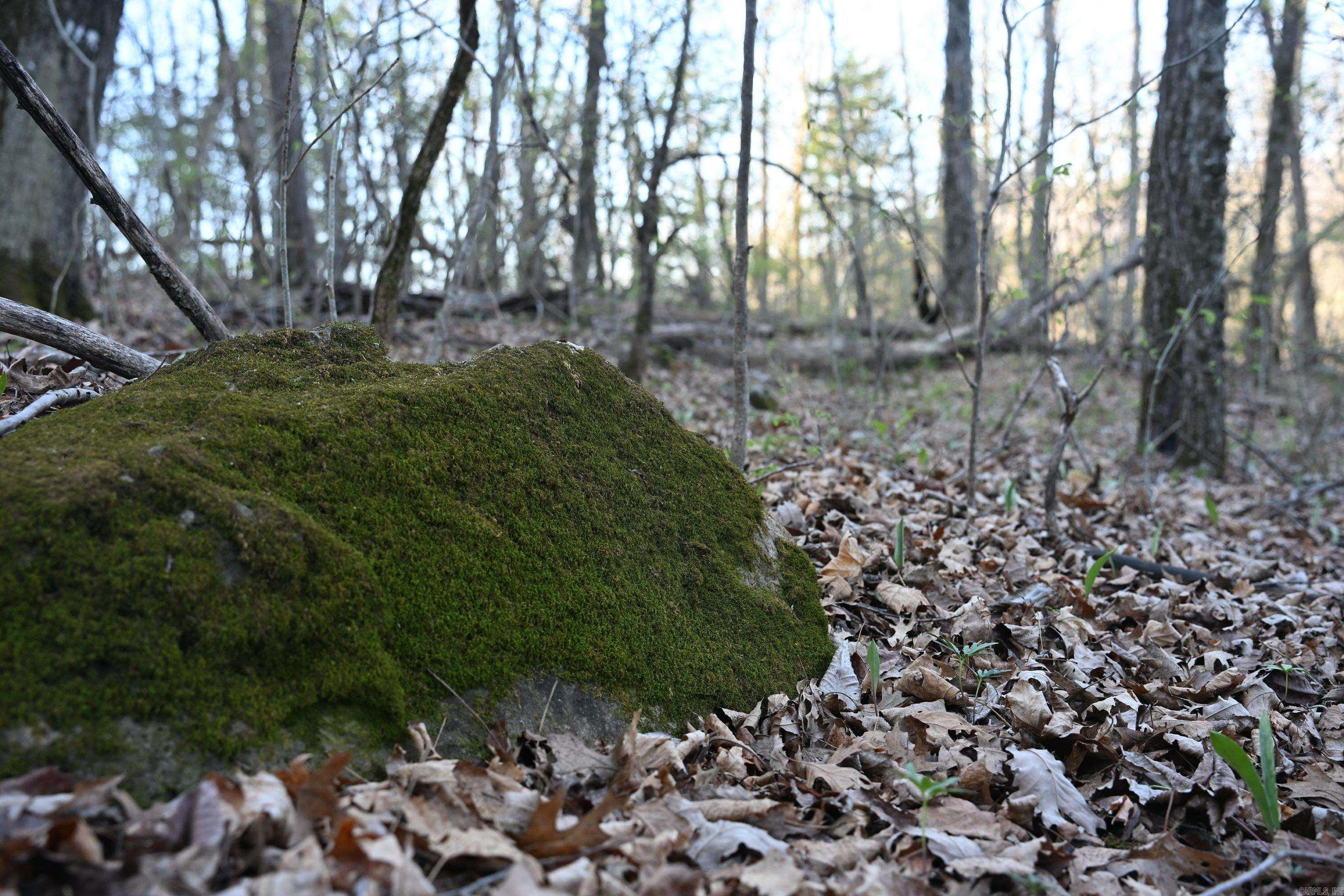 12278 S Hwy 27  Marshall, AR