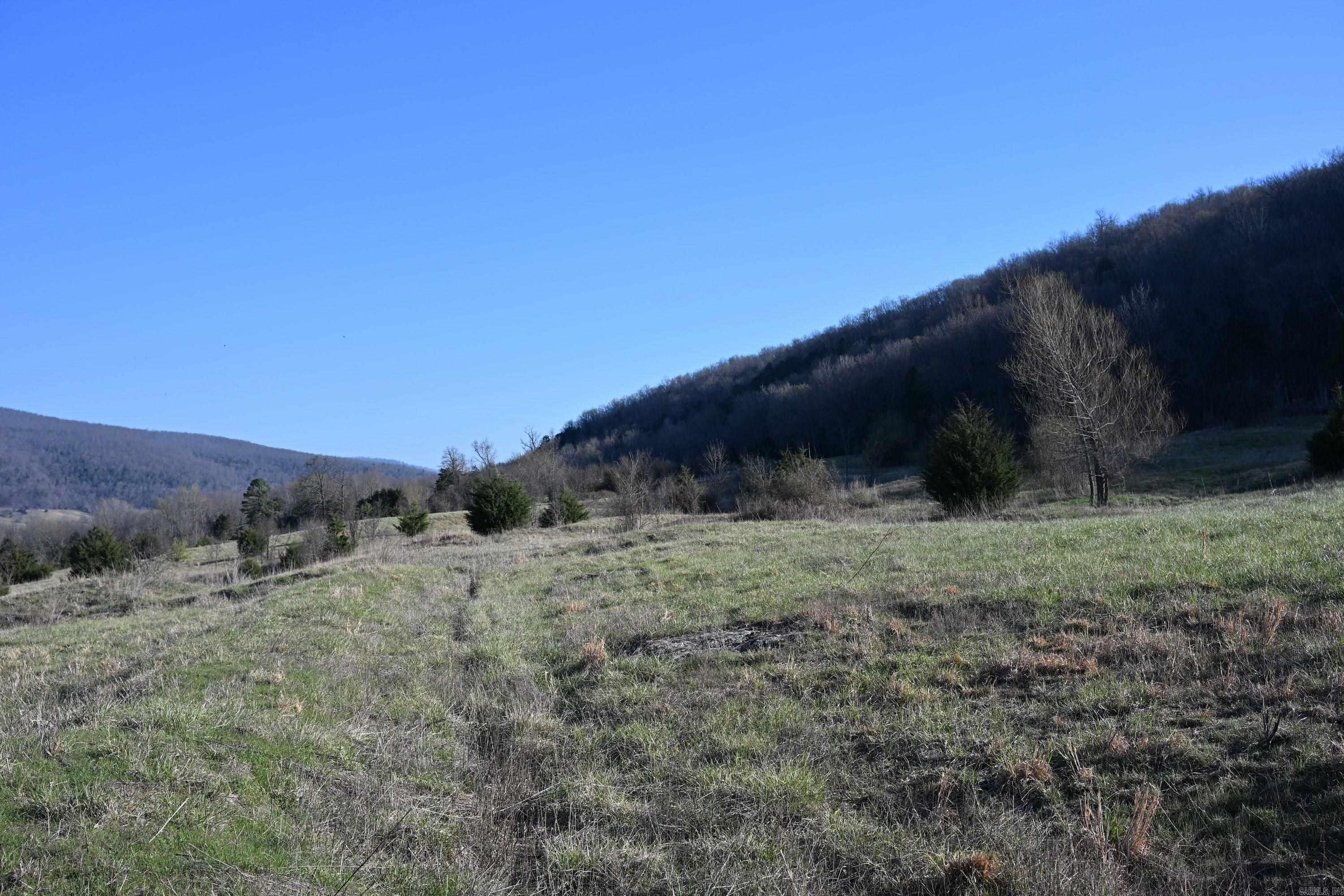 12278 S Hwy 27  Marshall, AR