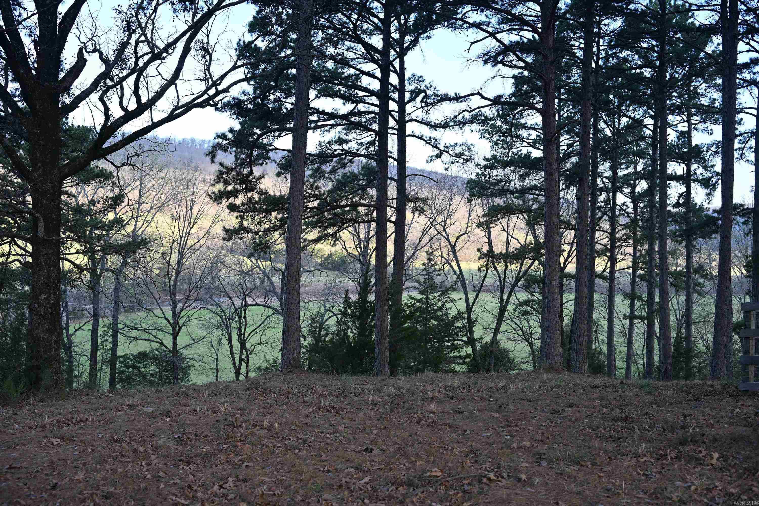 12278 S Hwy 27  Marshall, AR