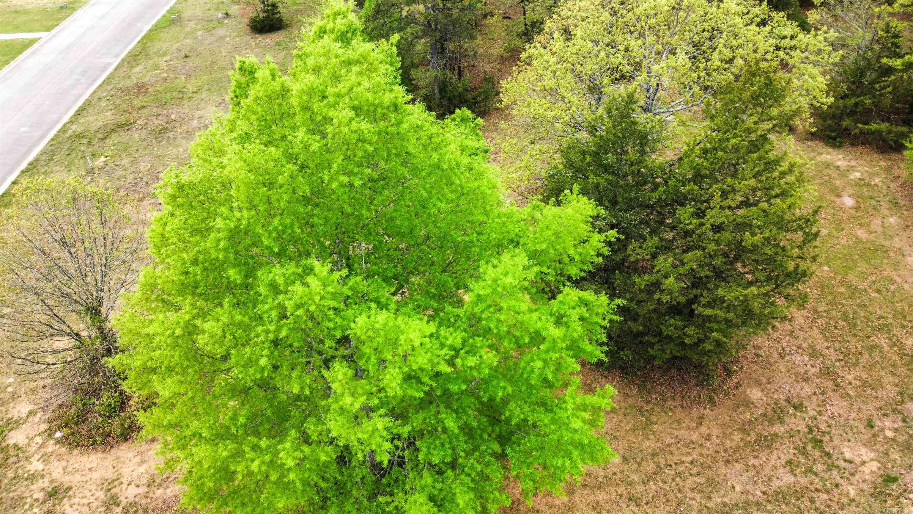 Lot 7 and 10 E Holloway  Morrilton, AR