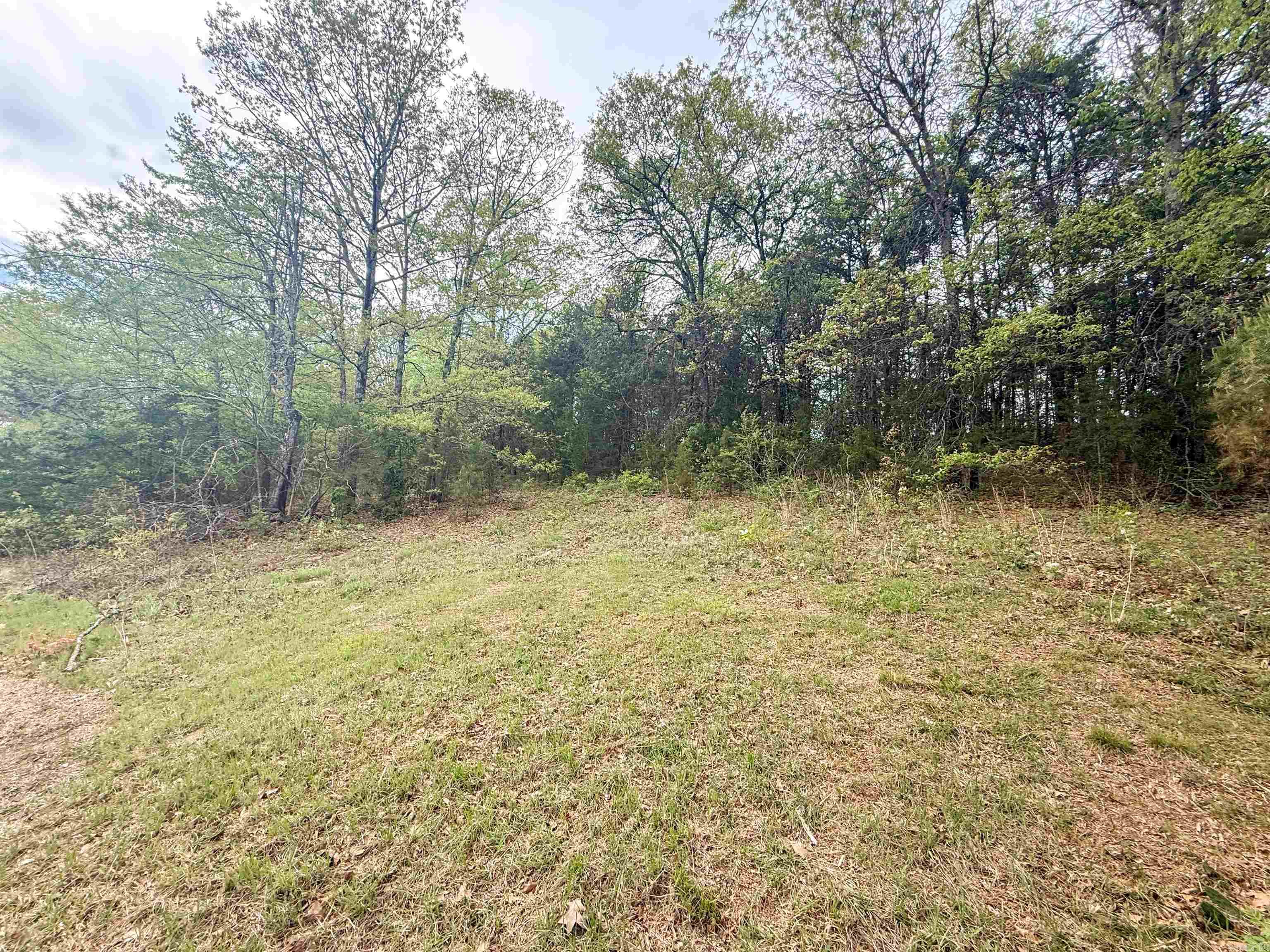 Lot 7 and 10 E Holloway  Morrilton, AR
