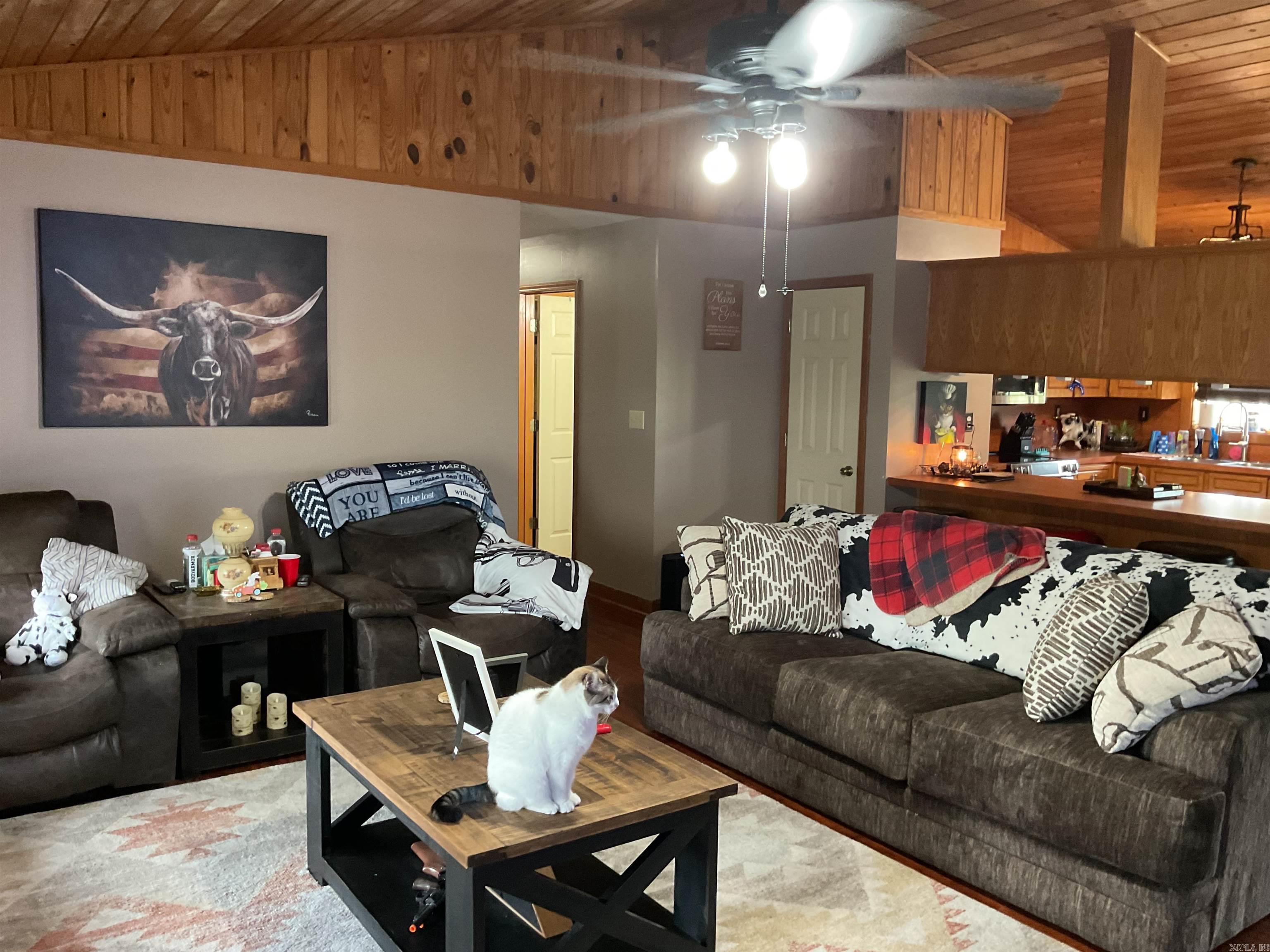 118 Cedar Valley Dr  El Paso, AR