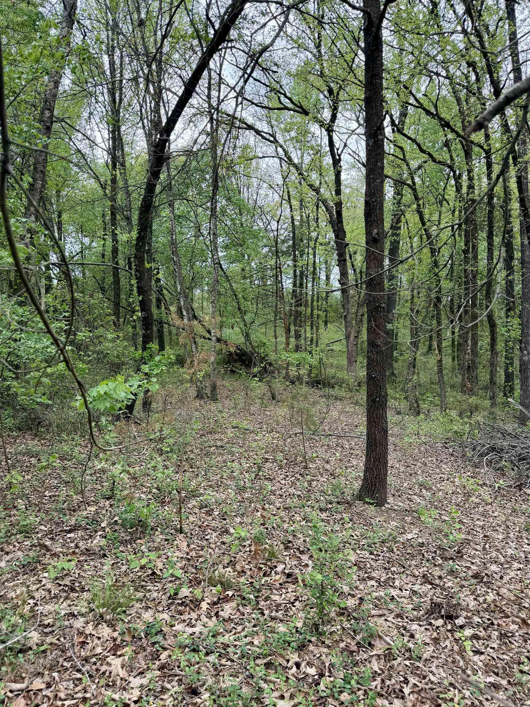 000 Dublin Road  Scranton, AR