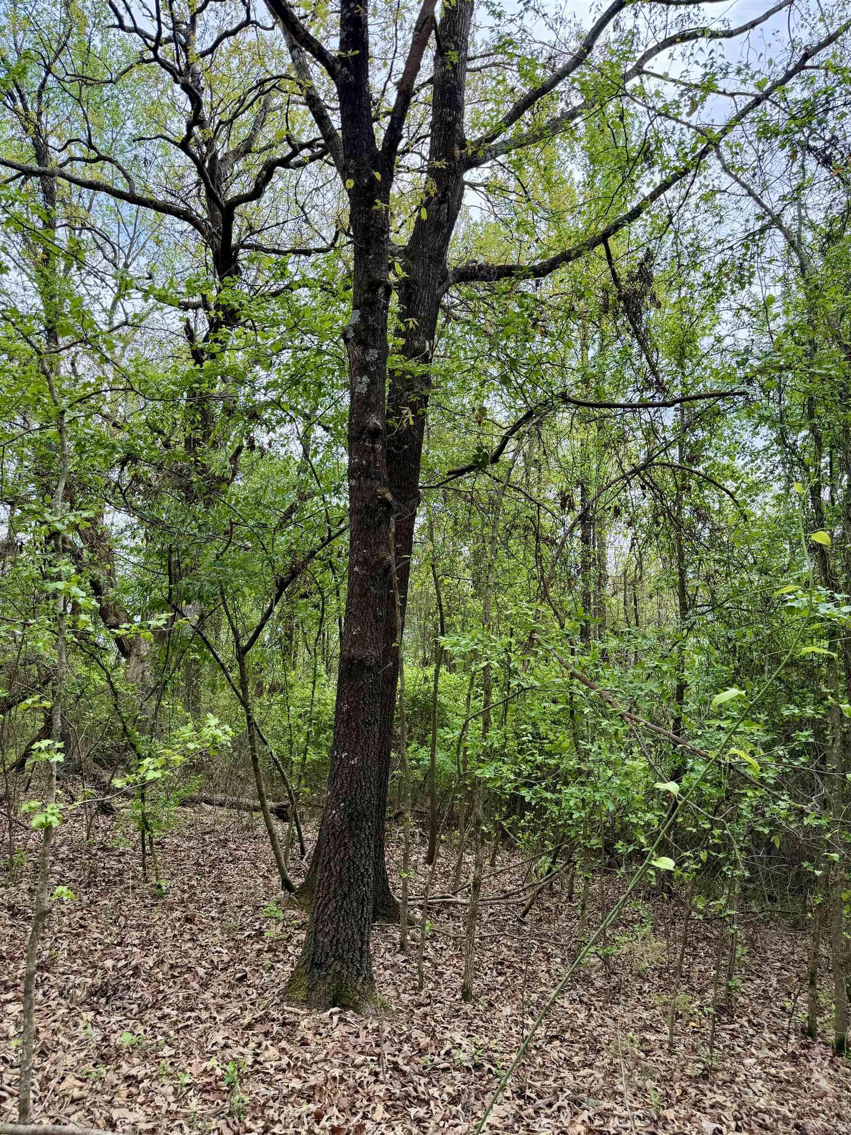 000 Dublin Road  Scranton, AR