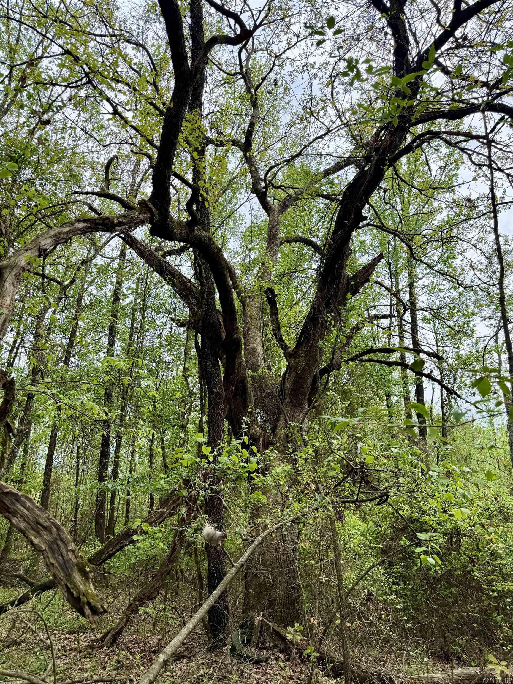 000 Dublin Road  Scranton, AR