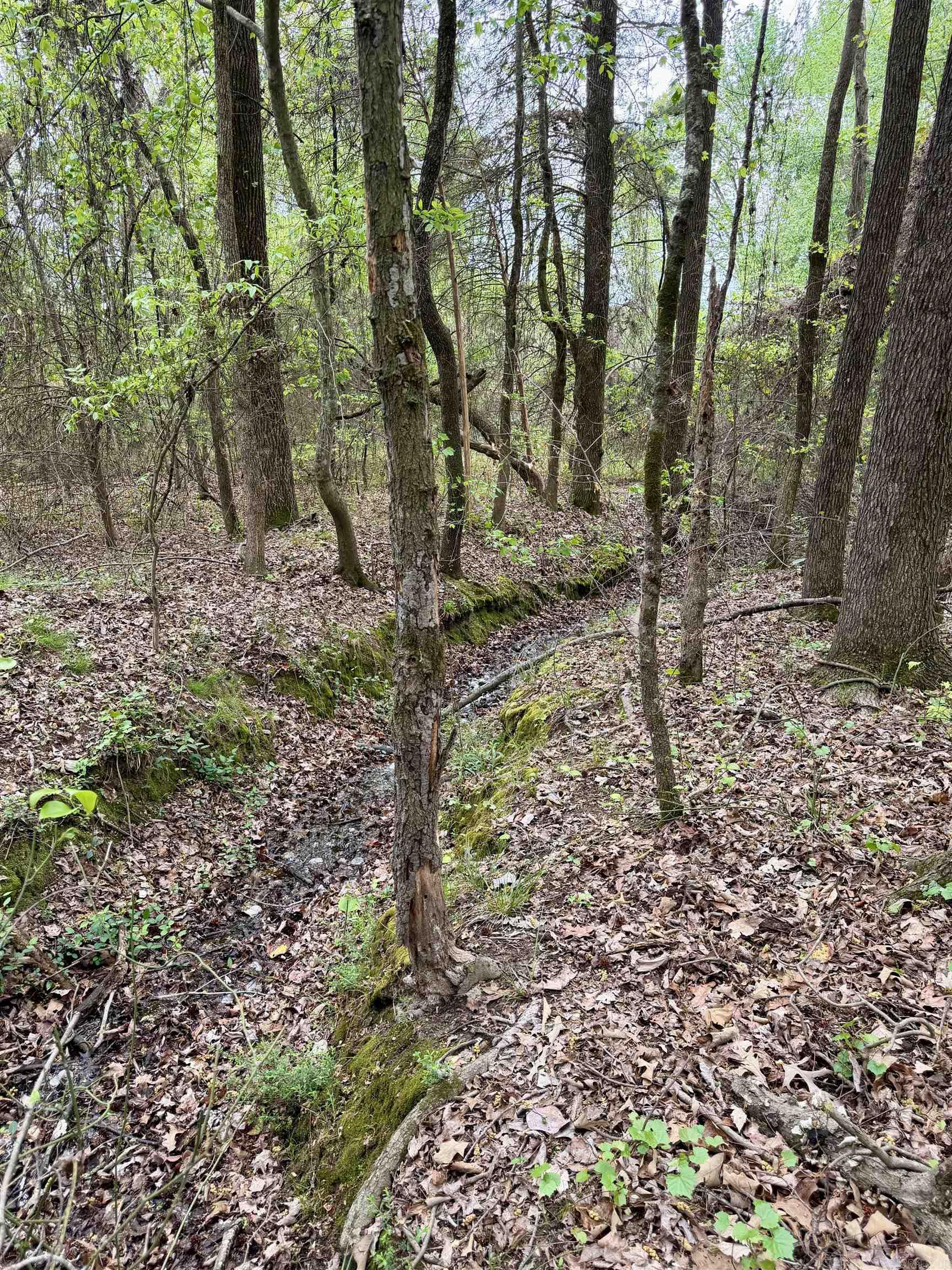 000 Dublin Road  Scranton, AR