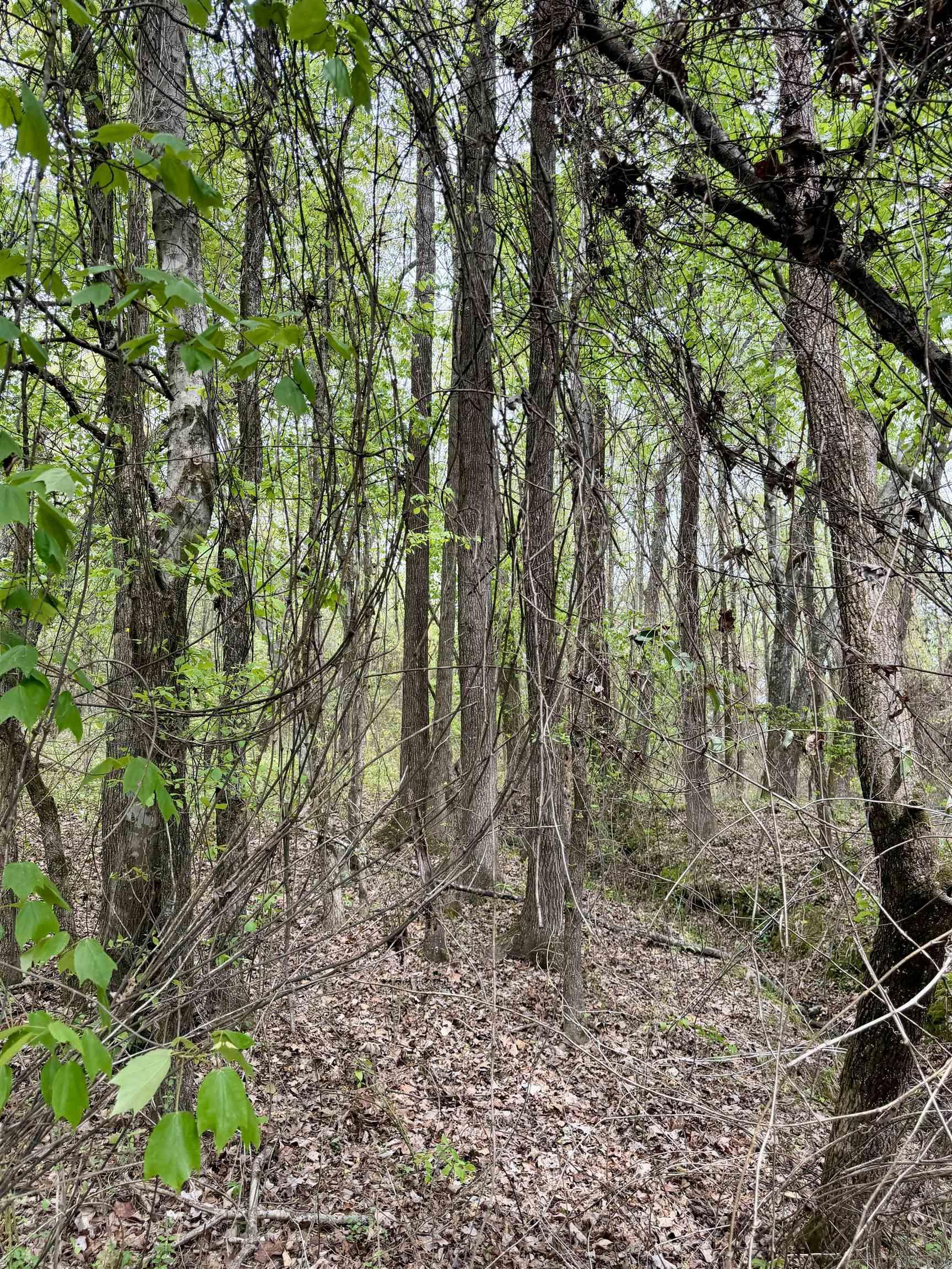 000 Dublin Road  Scranton, AR