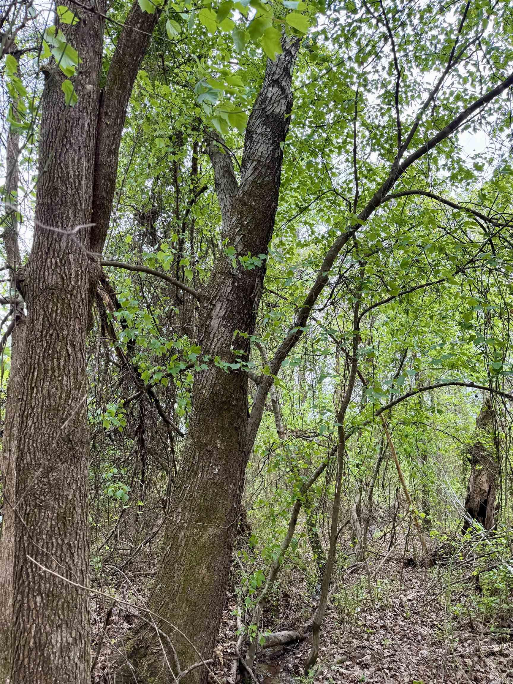 000 Dublin Road  Scranton, AR