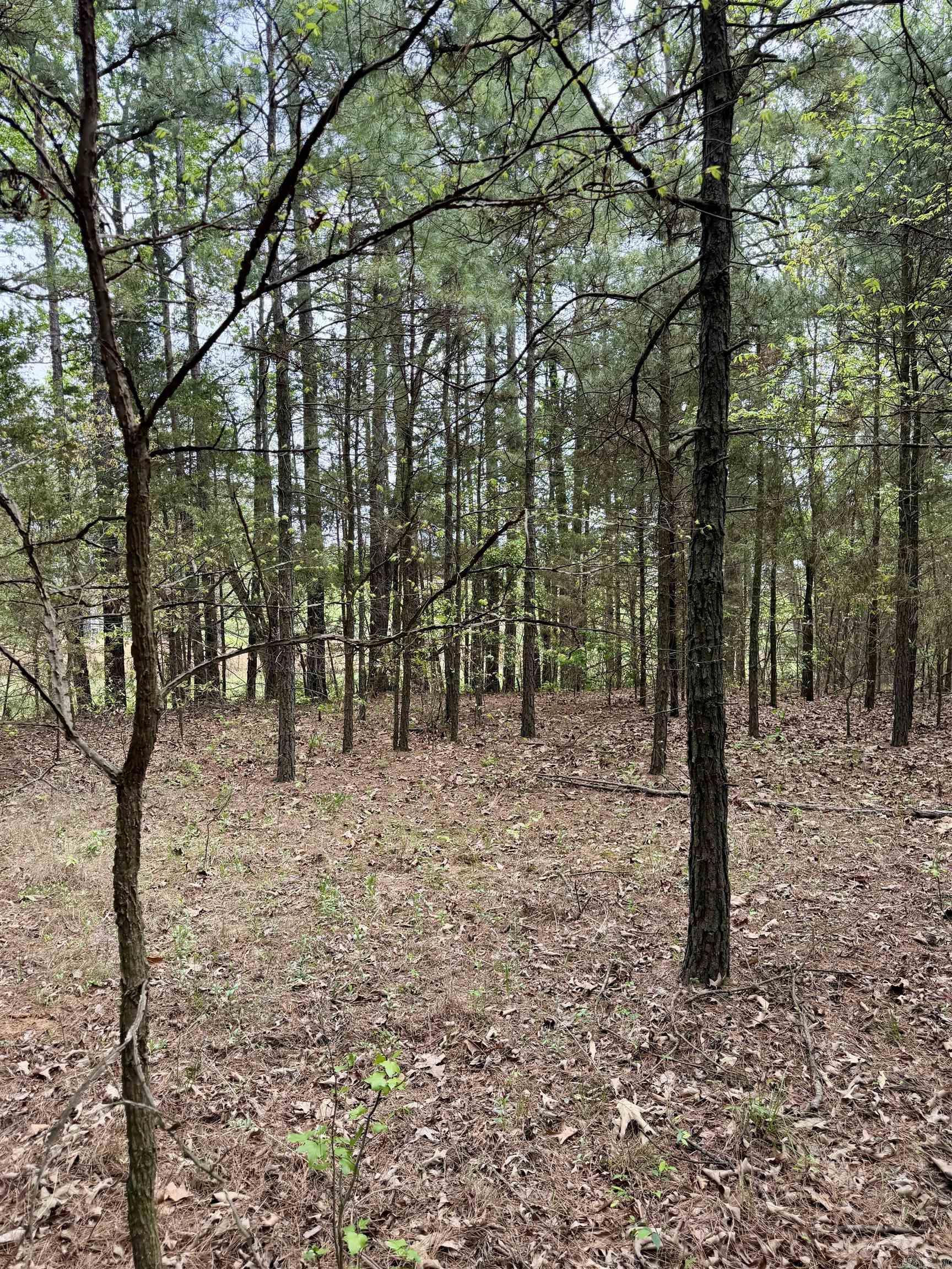 000 Dublin Road  Scranton, AR