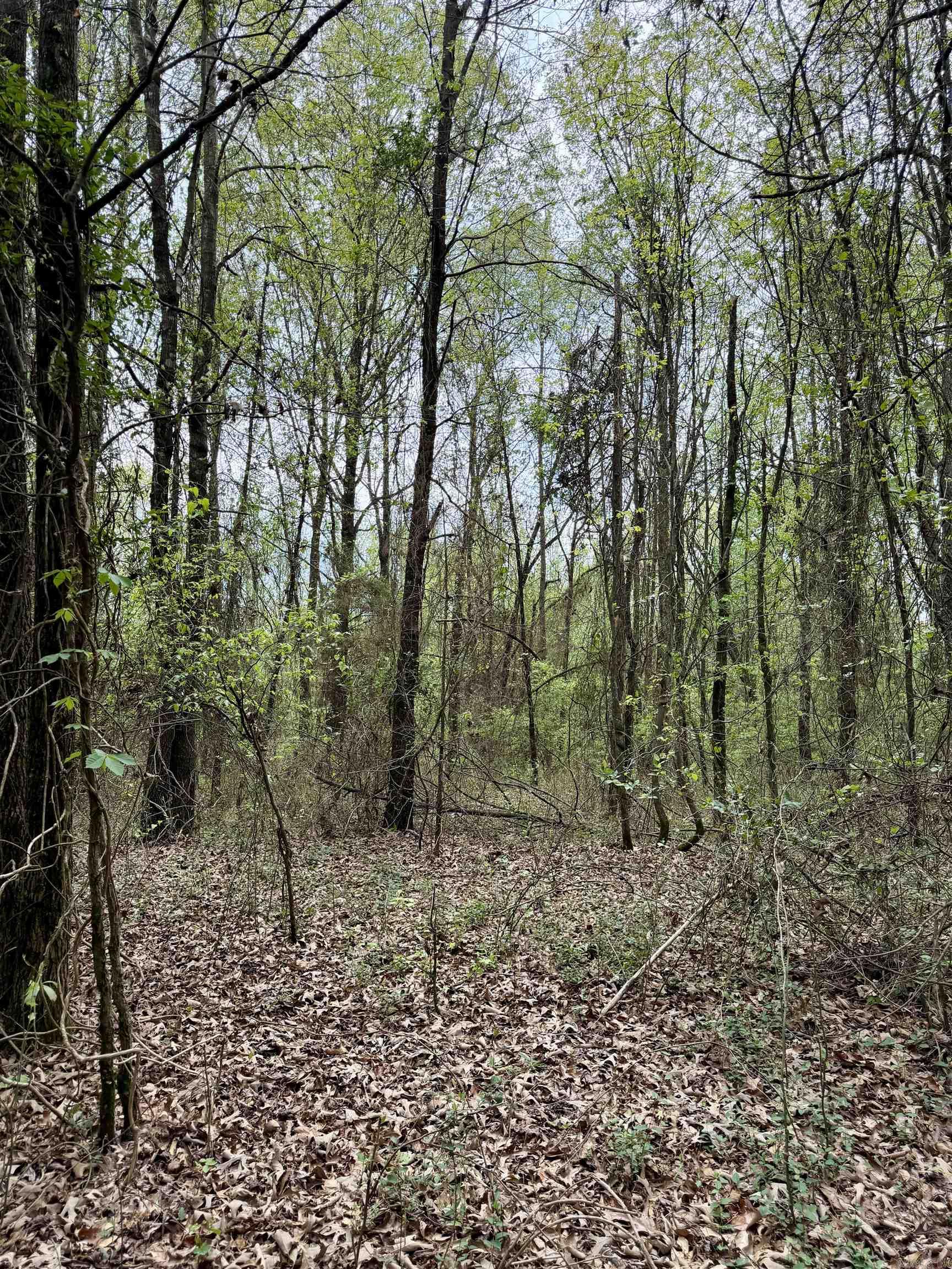 000 Dublin Road  Scranton, AR