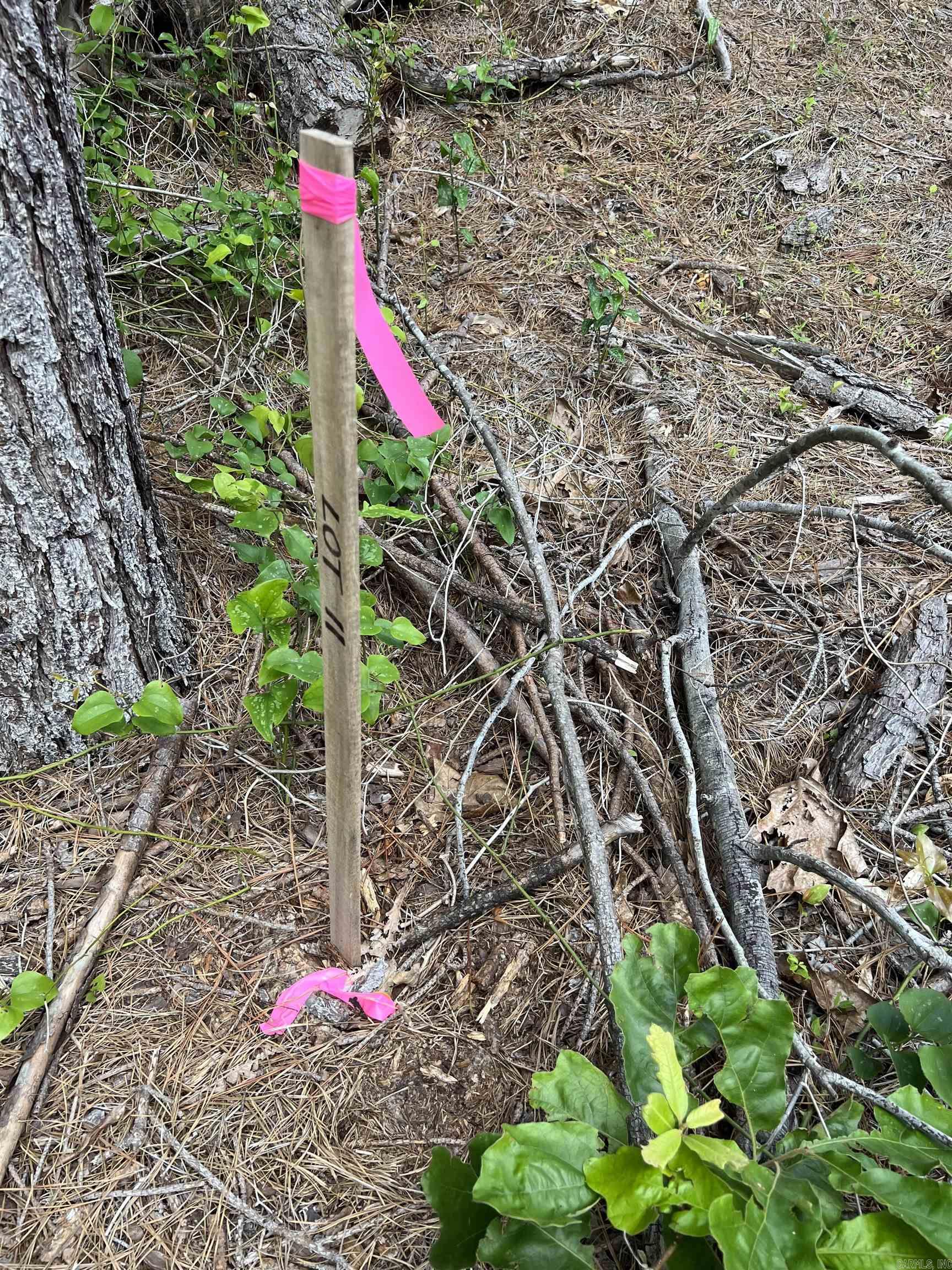 xx Tract 11 Castle  Glenwood, AR