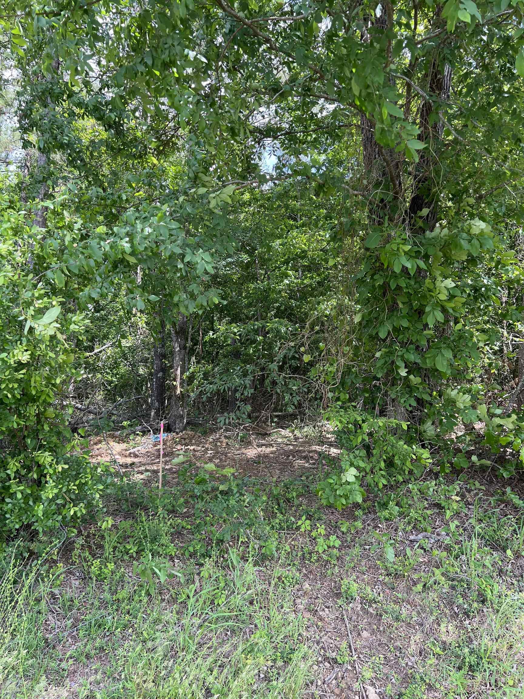 xx Tract 11 Castle  Glenwood, AR