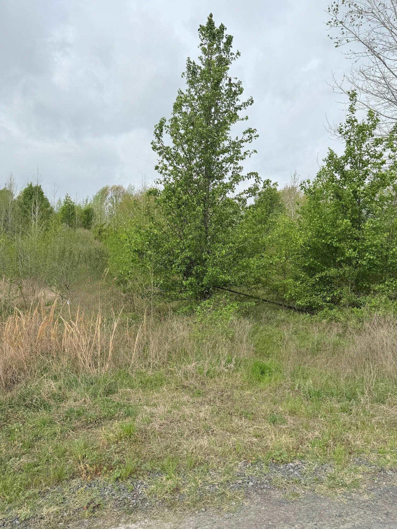 1248 Pigeon  Ward, AR