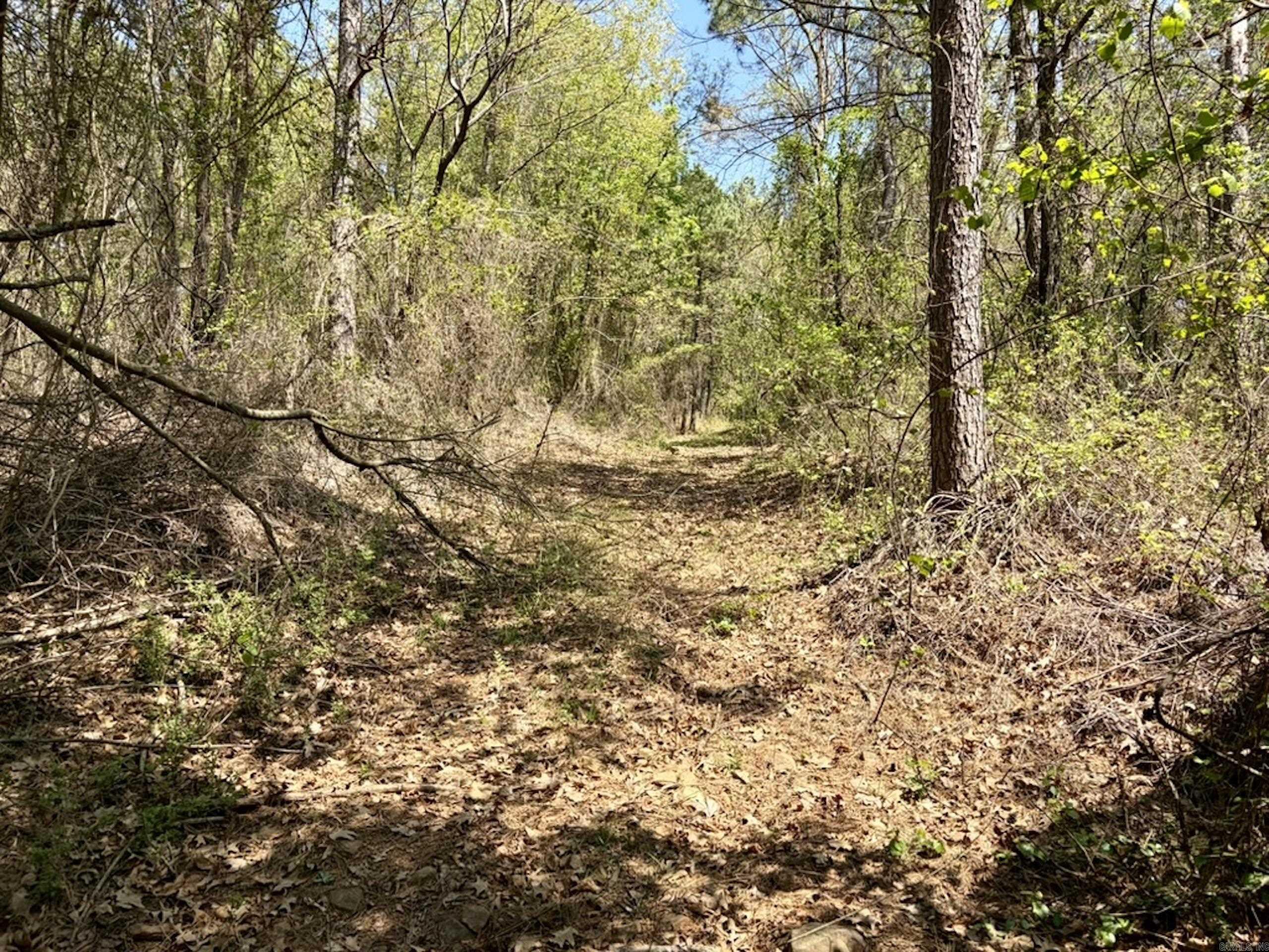 000 Oates Crossing Road  Bellville, AR