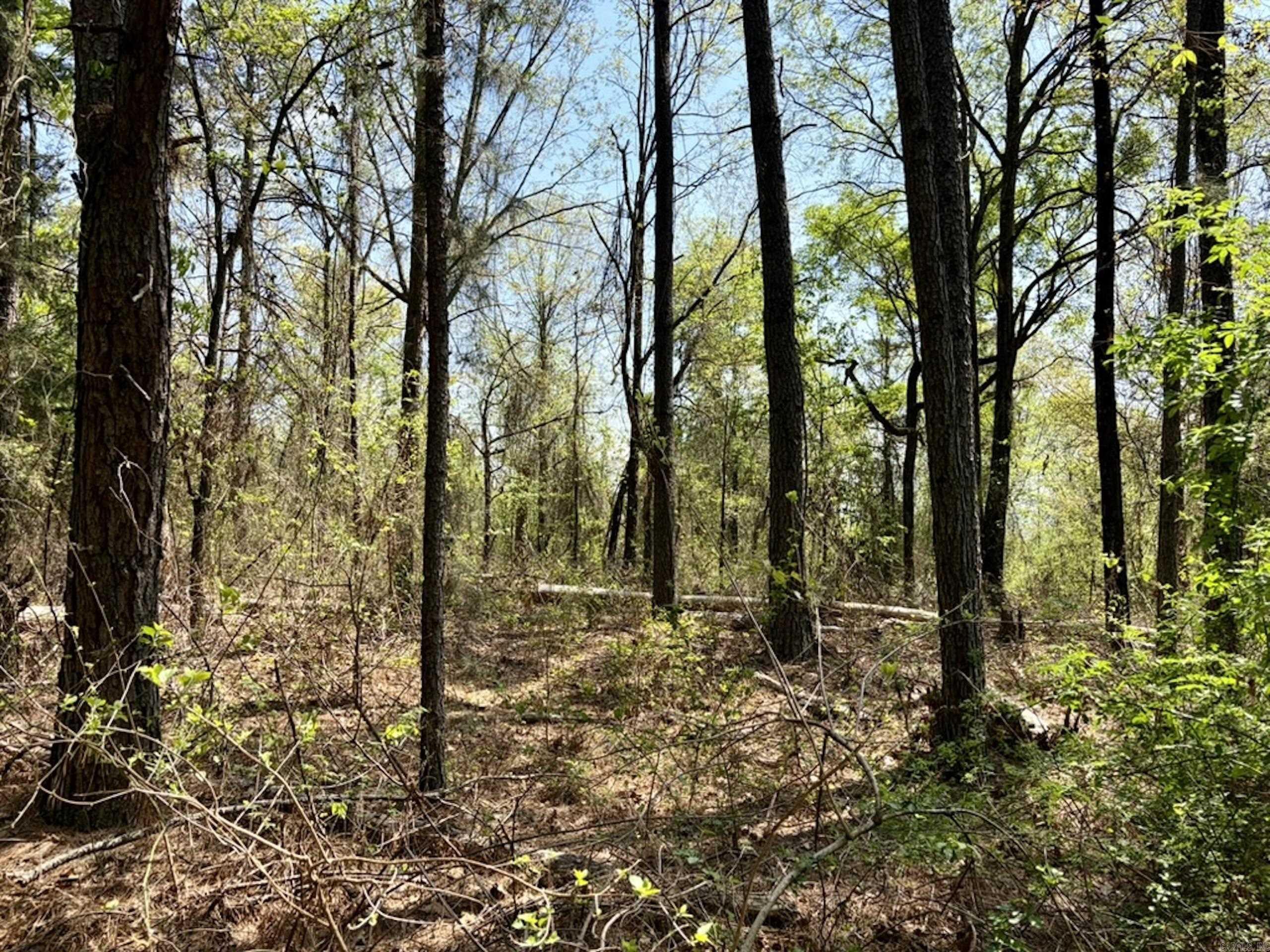 000 Oates Crossing Road  Bellville, AR