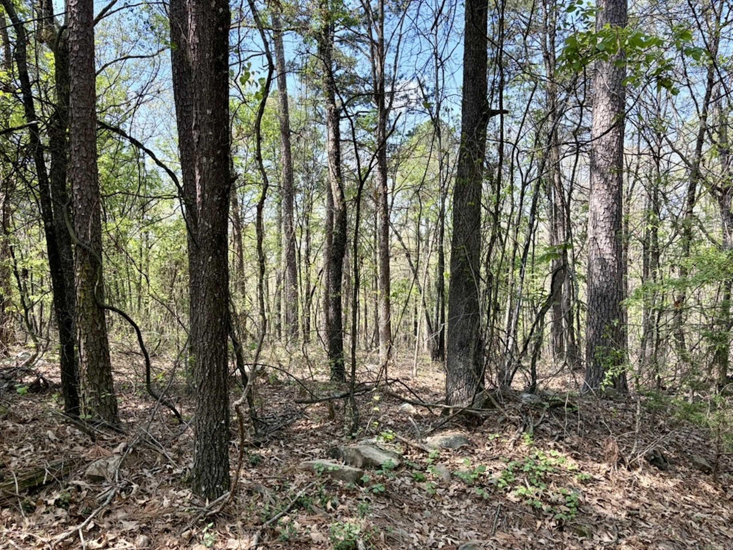 000 Oates Crossing Road  Bellville, AR