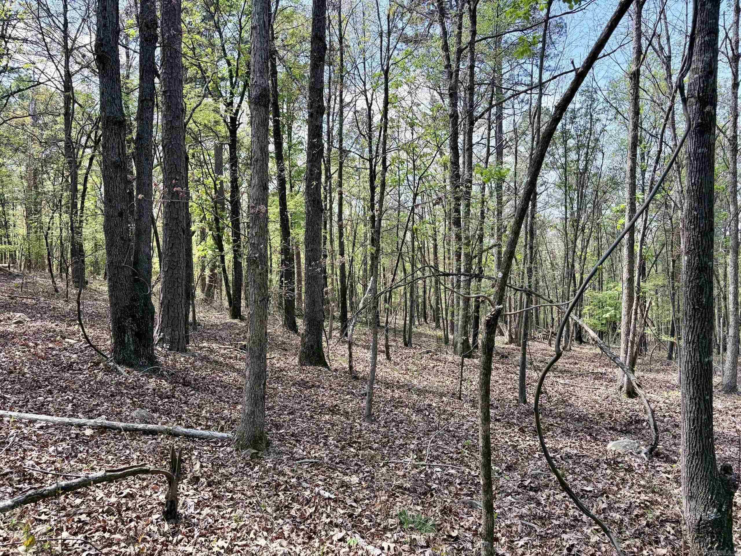 000 Oates Crossing Road  Bellville, AR