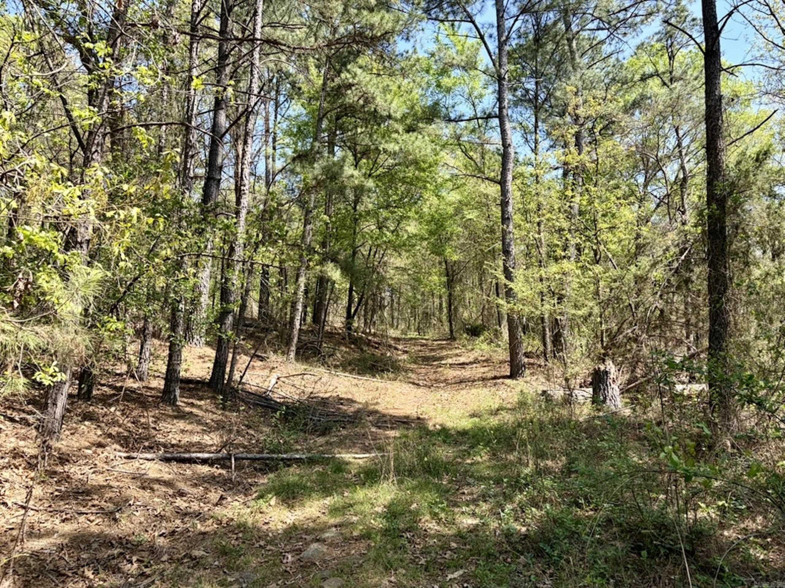 000 Oates Crossing Road  Bellville, AR