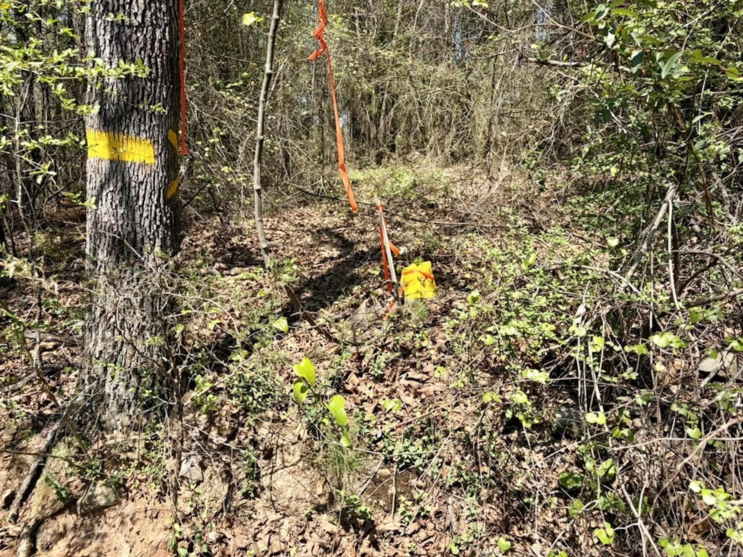 000 Oates Crossing Road  Bellville, AR