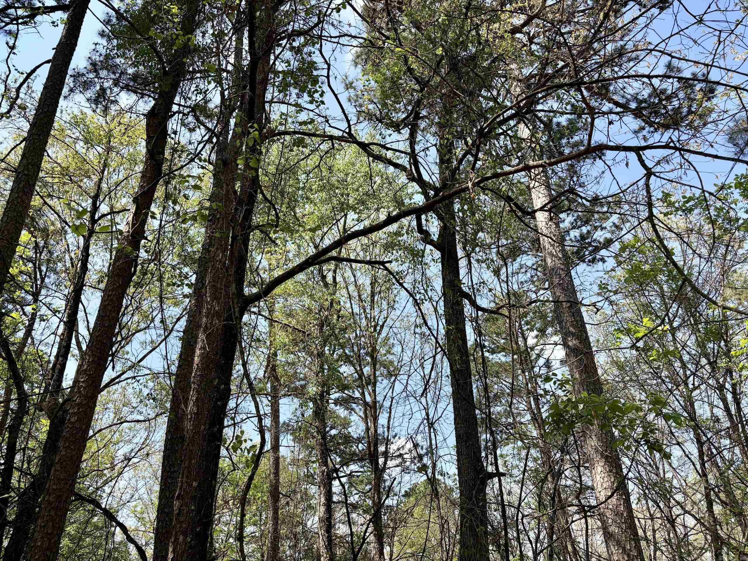 000 Oates Crossing Road  Bellville, AR