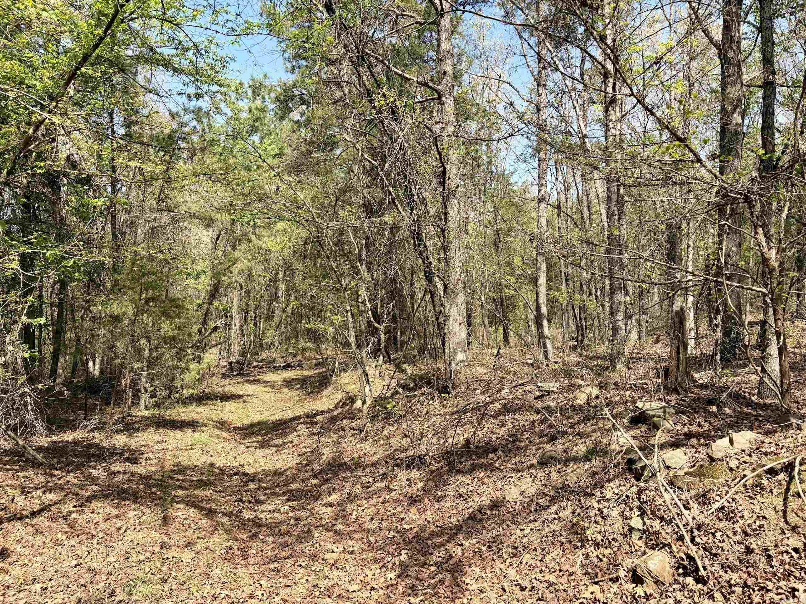 000 Oates Crossing Road  Bellville, AR