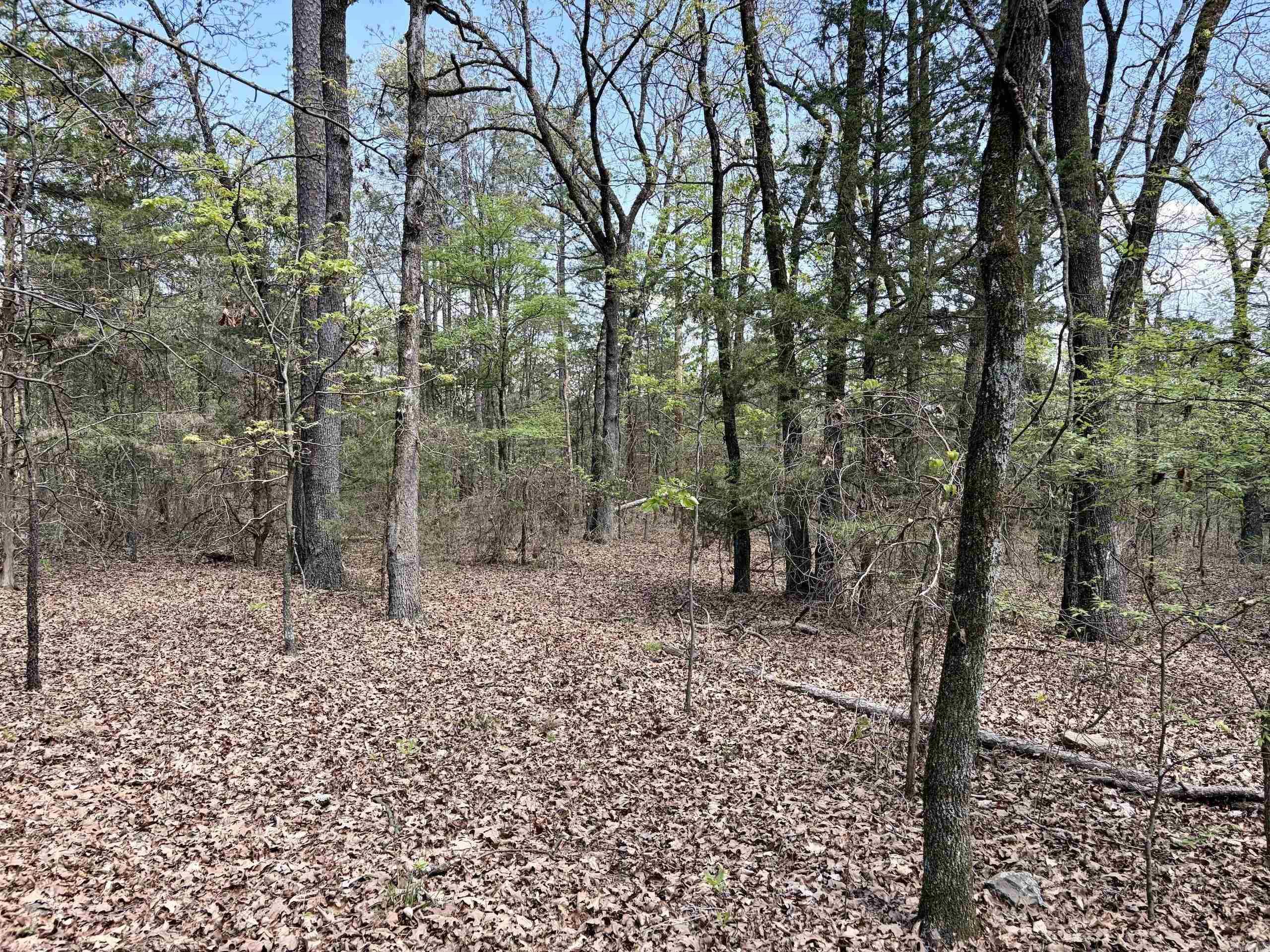 000 Oates Crossing Road  Bellville, AR