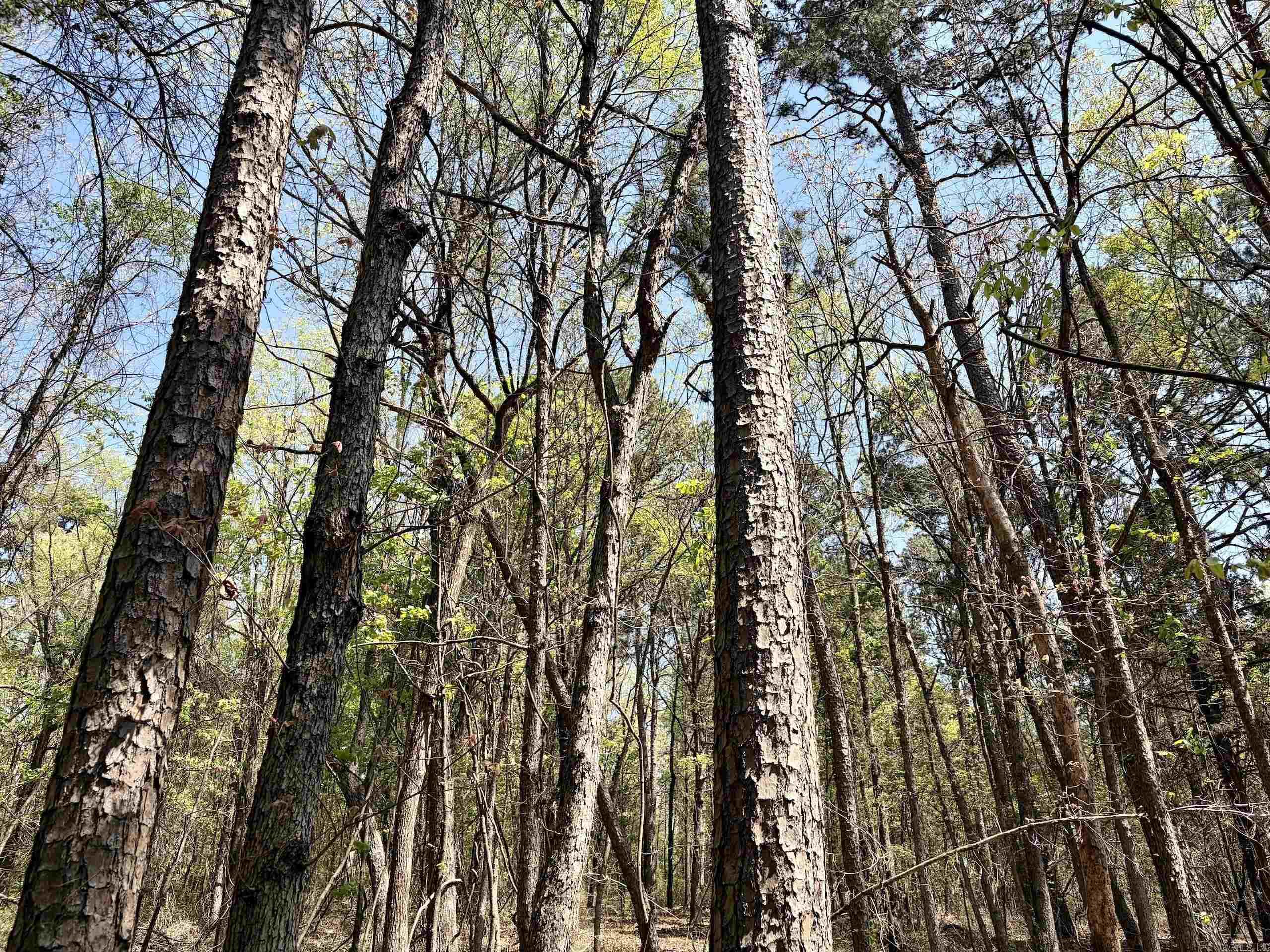 000 Oates Crossing Road  Bellville, AR