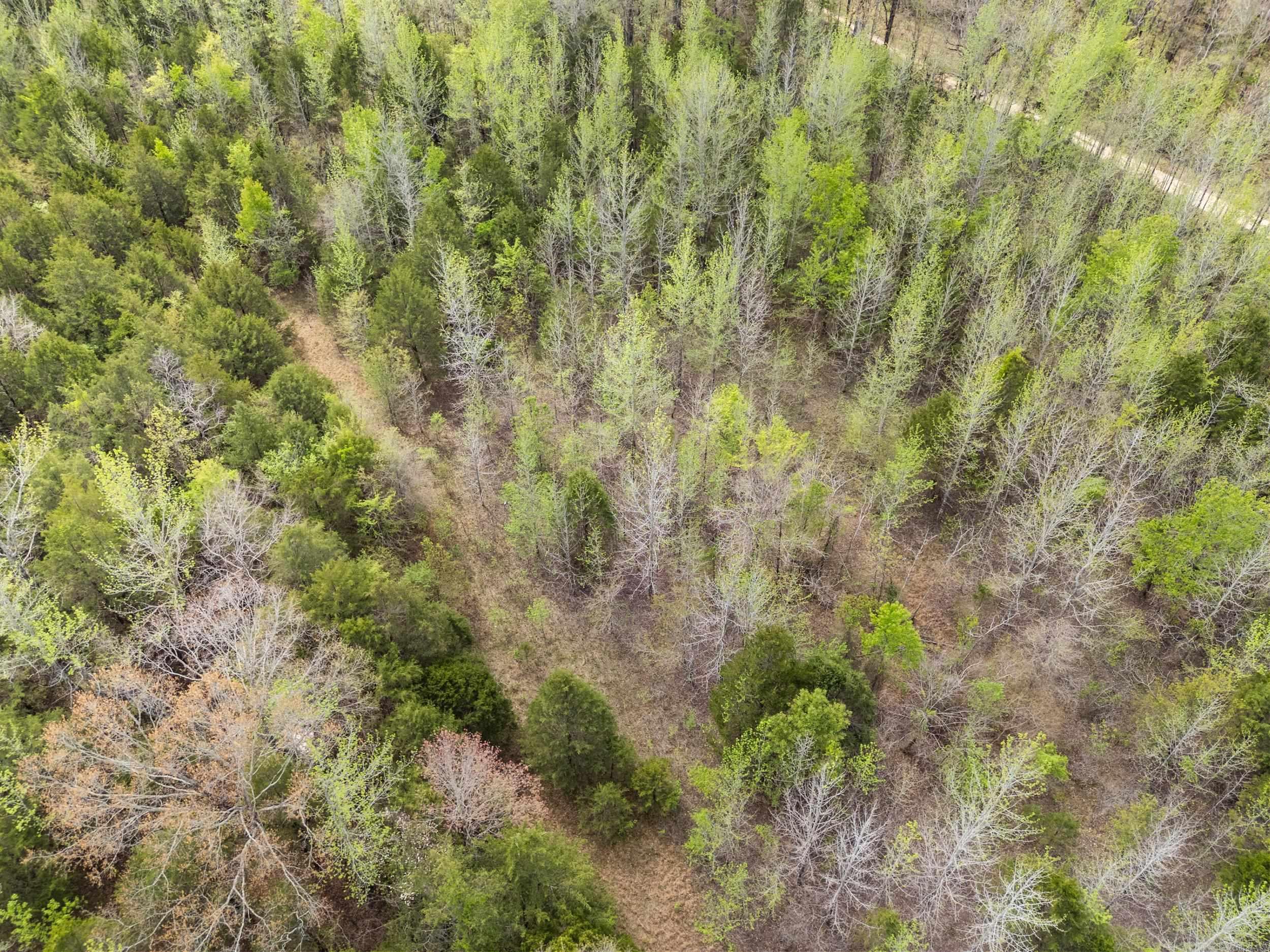 00 Otto Road  Vilonia, AR