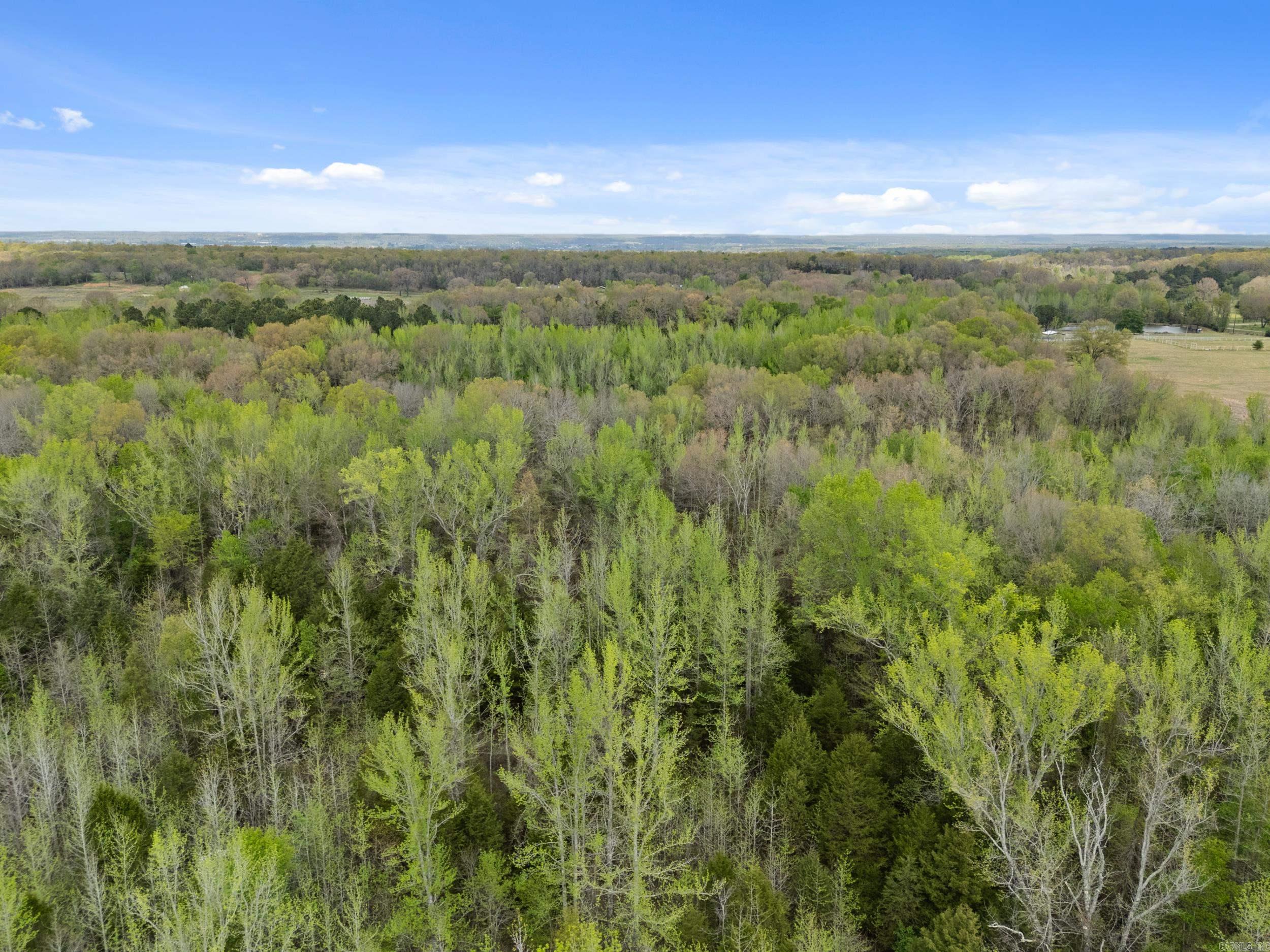 00 Otto Road  Vilonia, AR