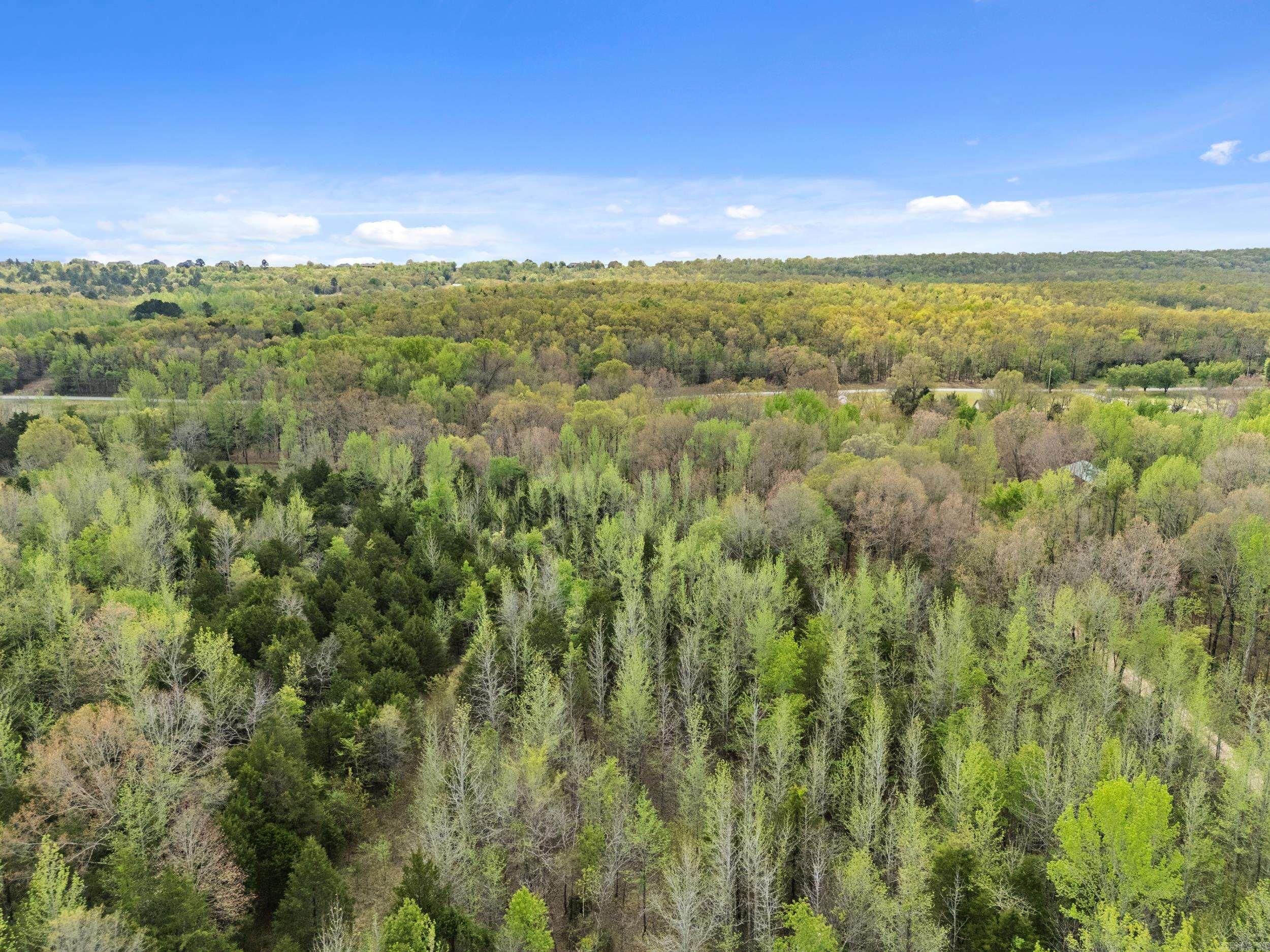 00 Otto Road  Vilonia, AR