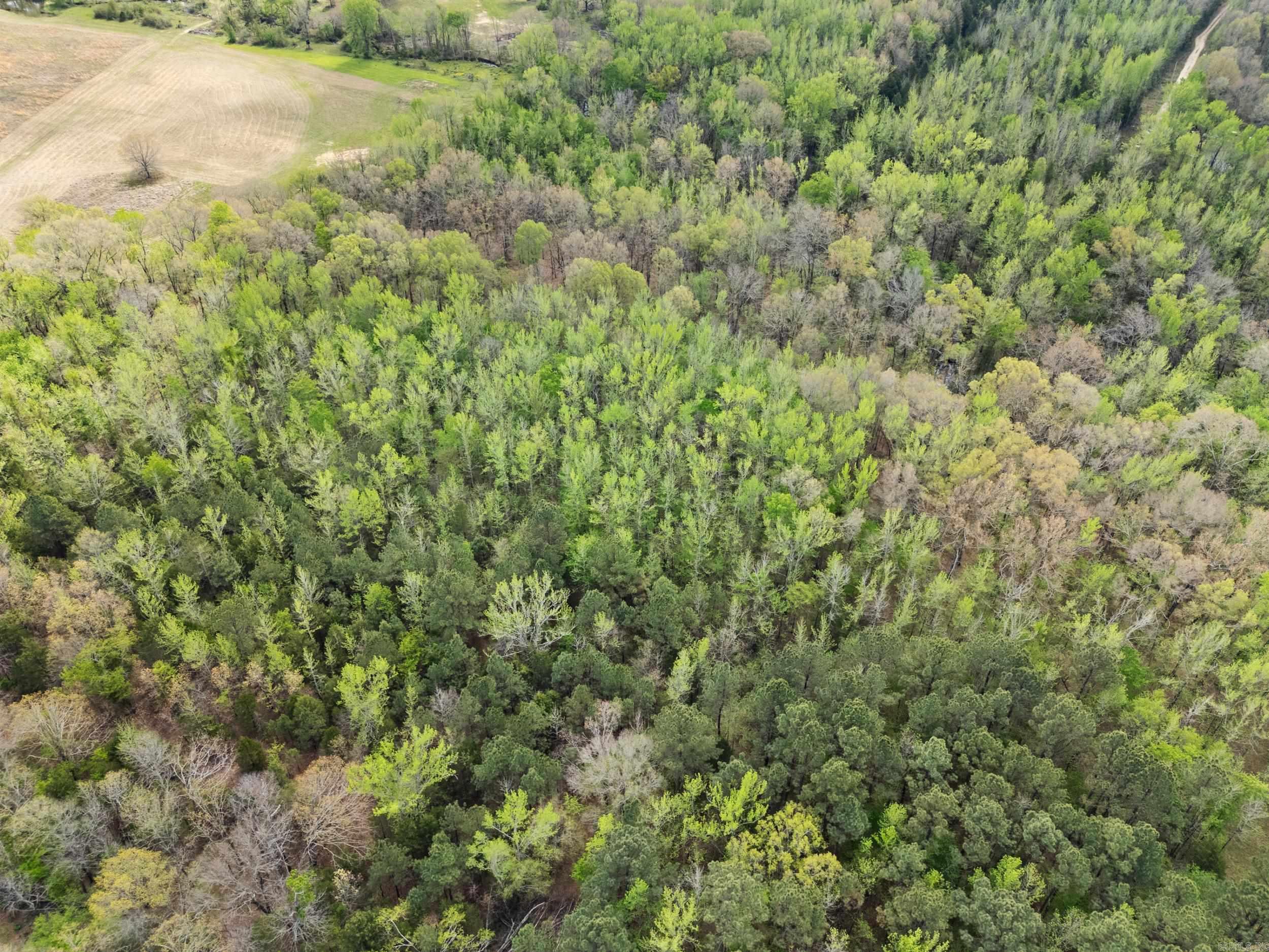 00 Otto Road  Vilonia, AR