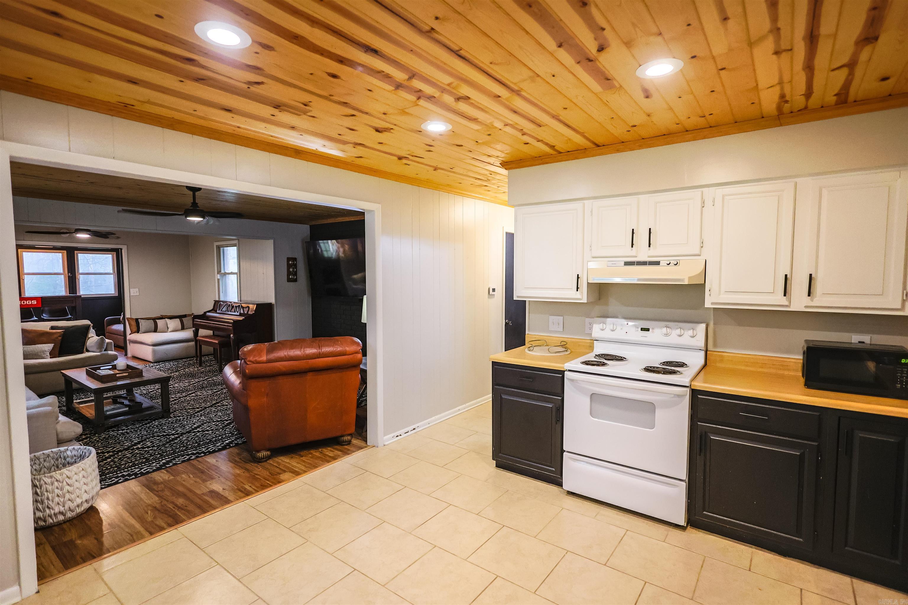 92 Cinnamon  Mount Ida, AR