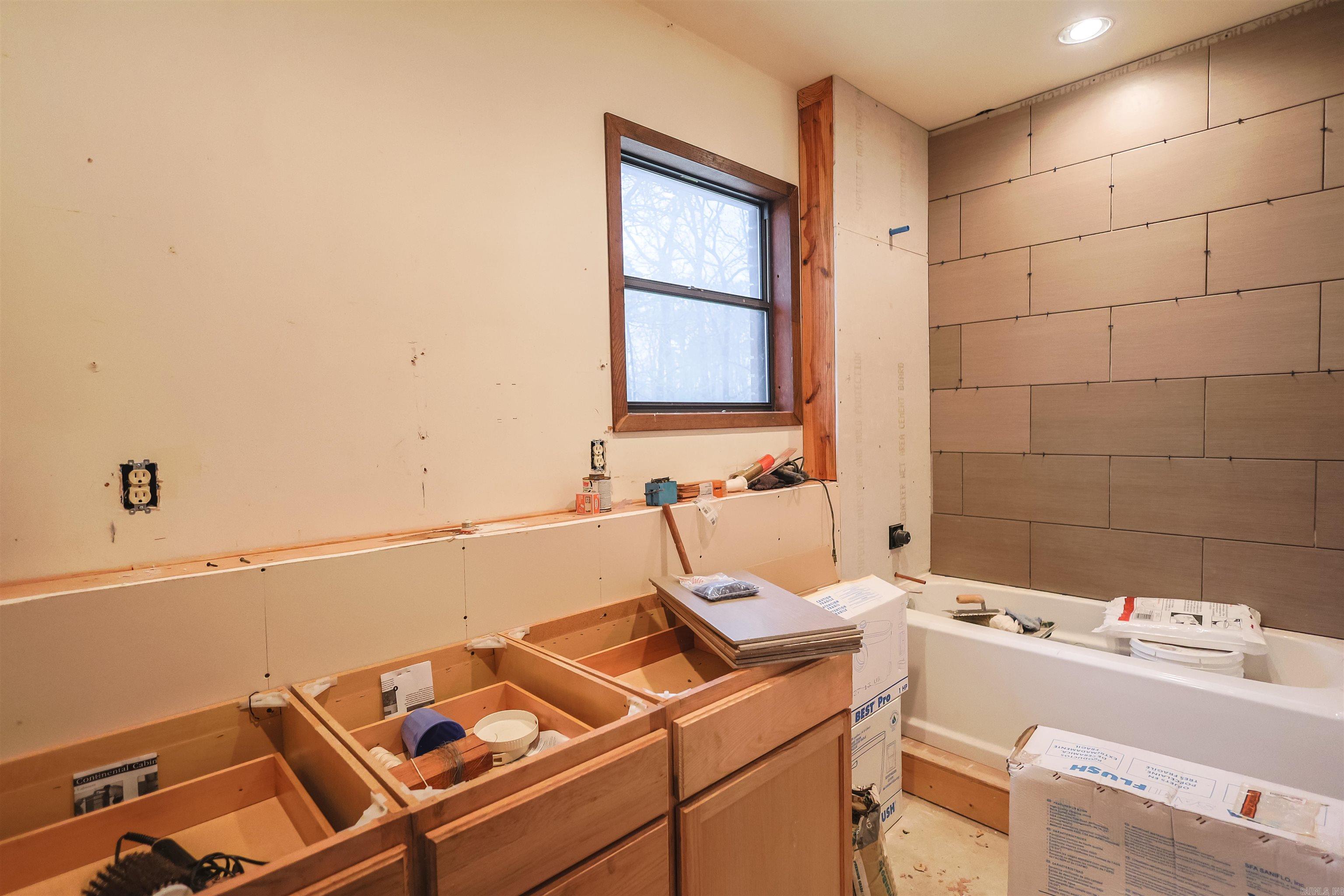 92 Cinnamon  Mount Ida, AR