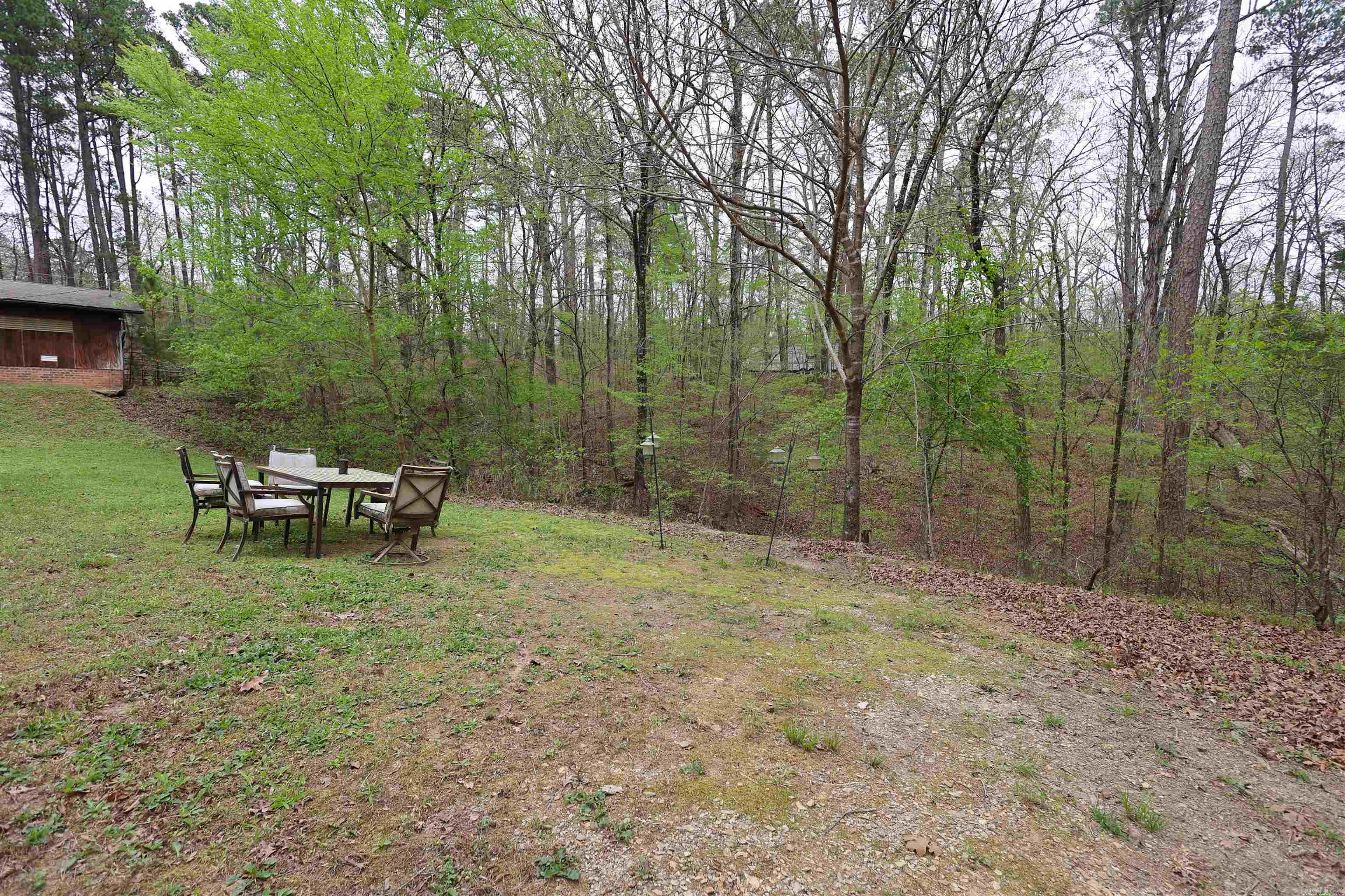 92 Cinnamon  Mount Ida, AR