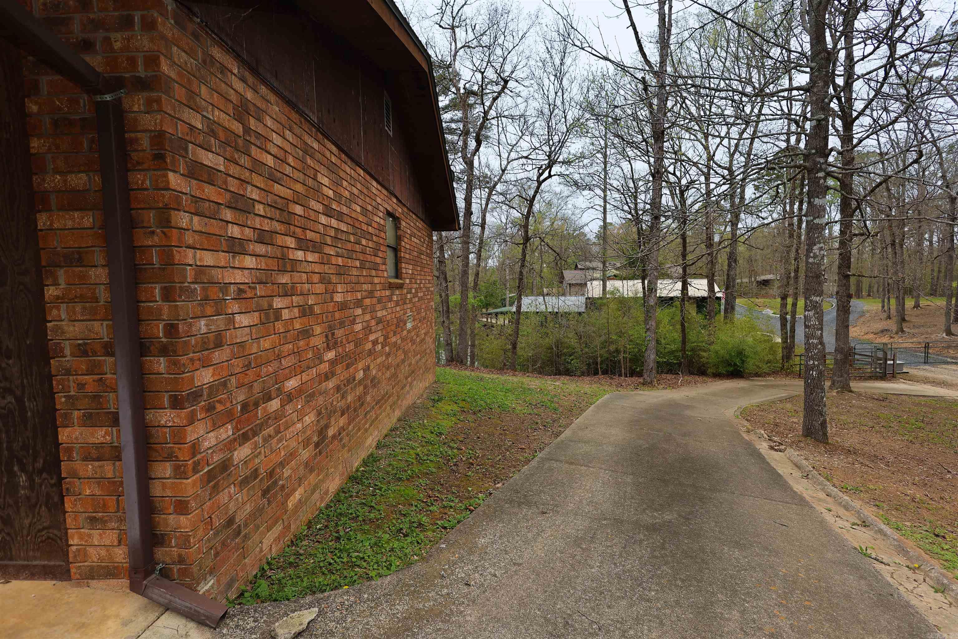 92 Cinnamon  Mount Ida, AR