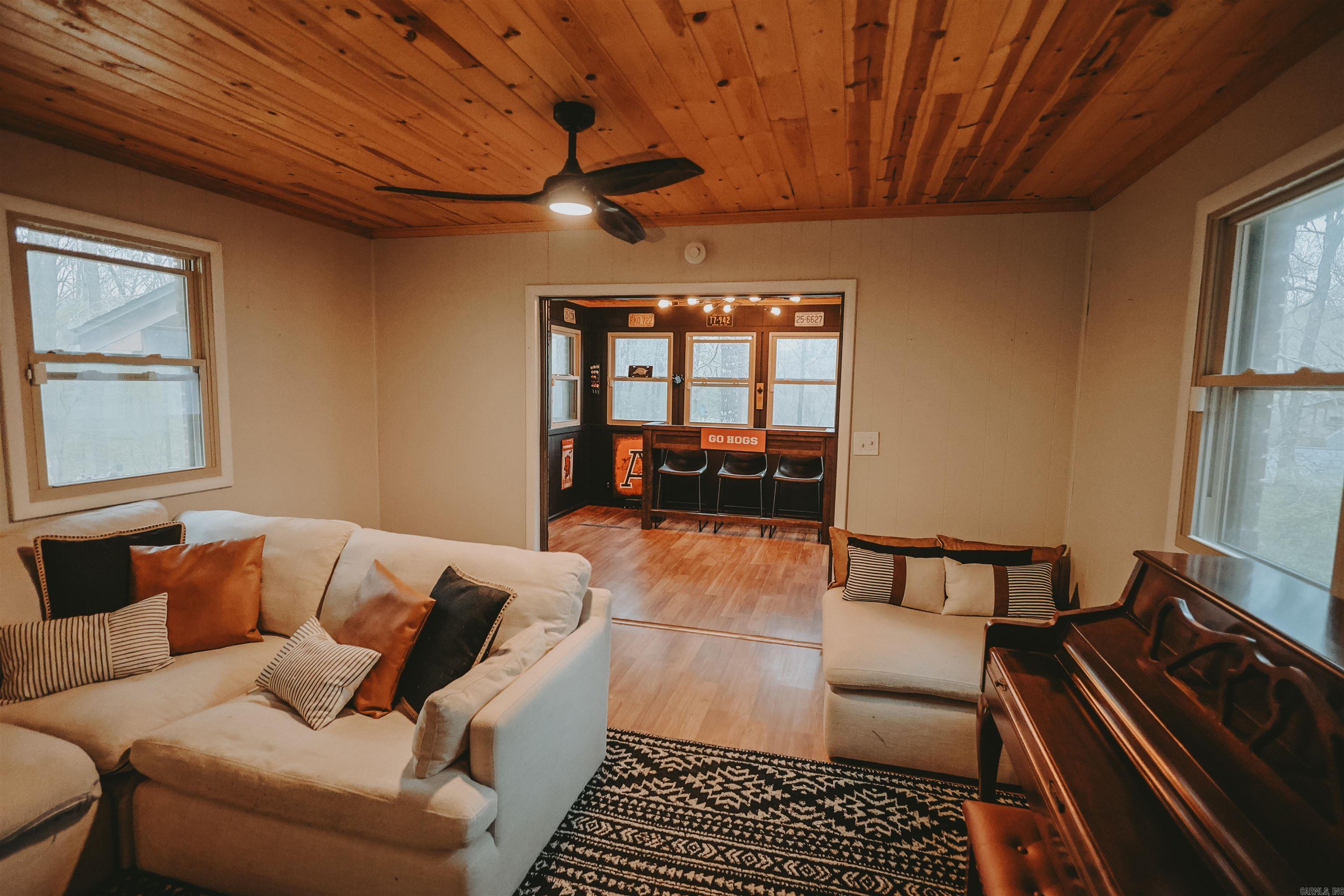 92 Cinnamon  Mount Ida, AR