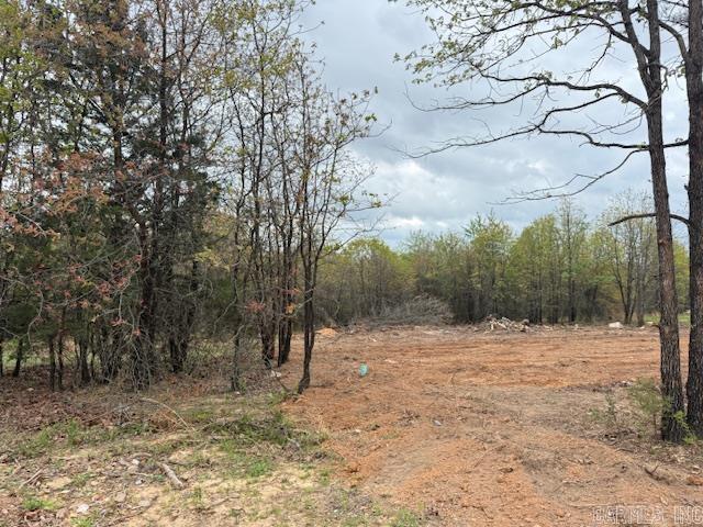 49 Summer Sky Drive  Greenbrier, AR