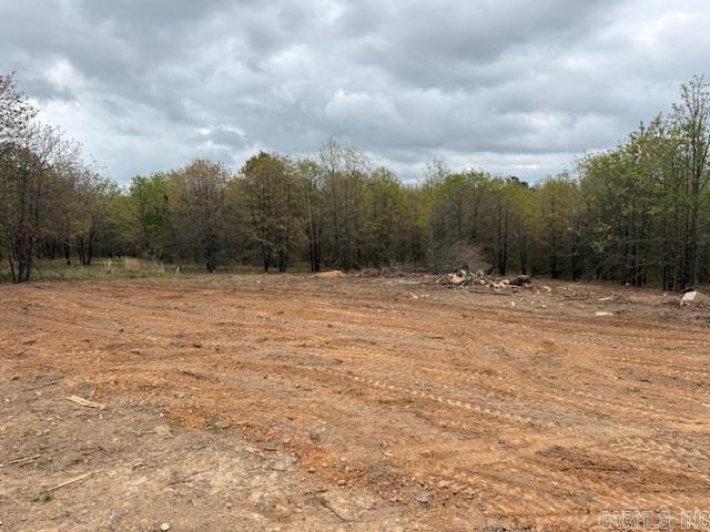 49 Summer Sky Drive  Greenbrier, AR