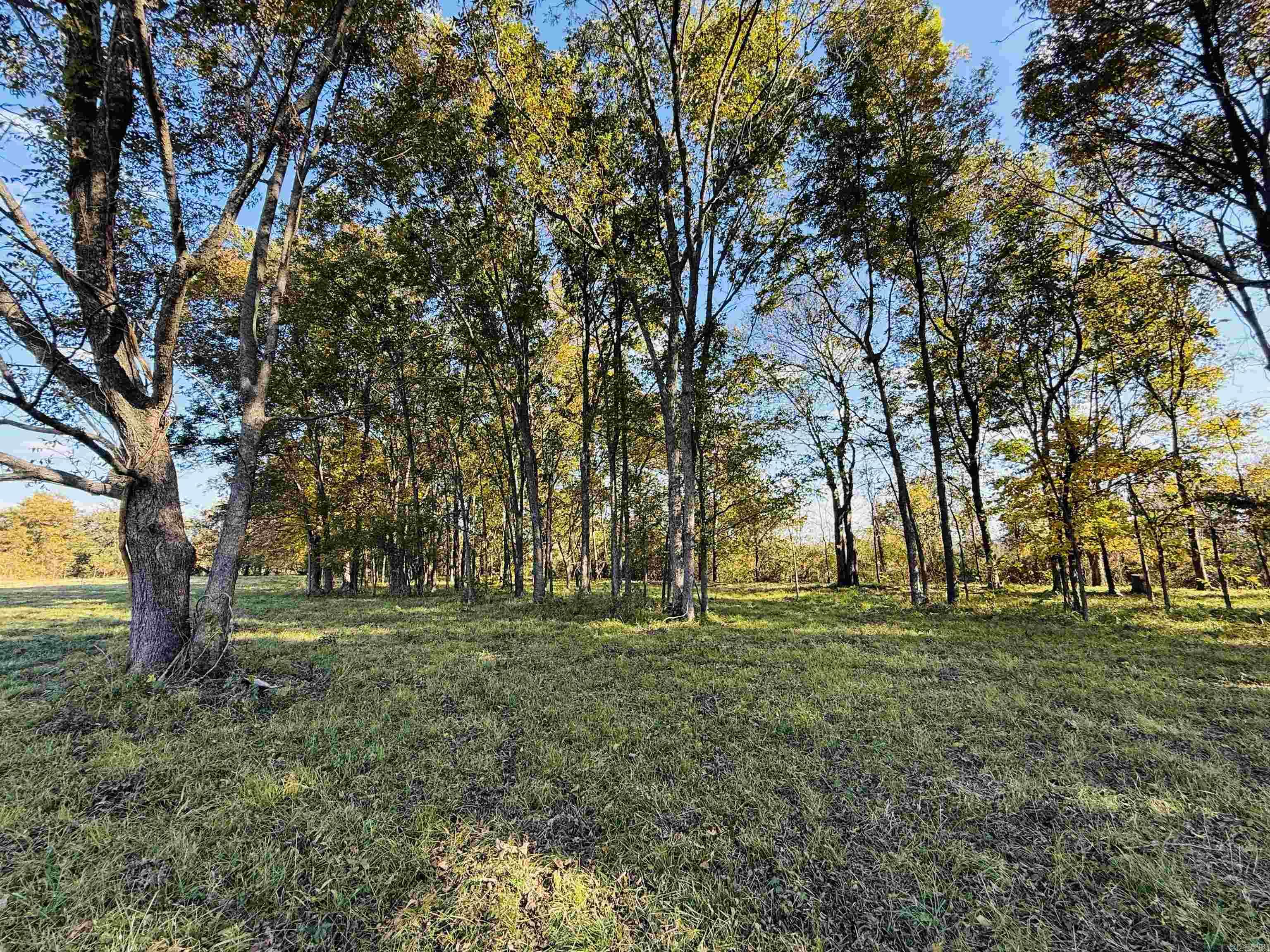 91 Valley Ranch  Mayflower, AR