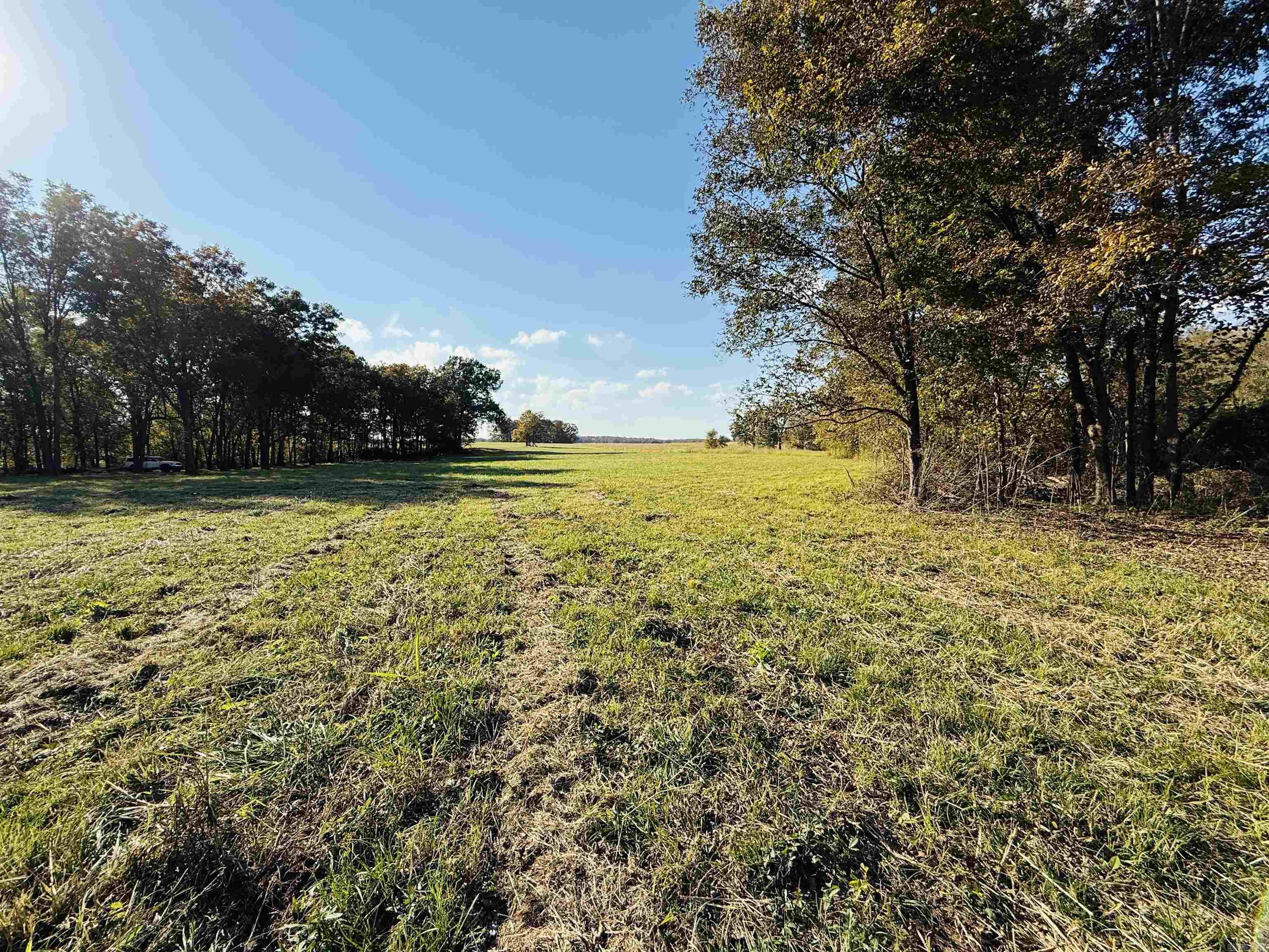 91 Valley Ranch  Mayflower, AR