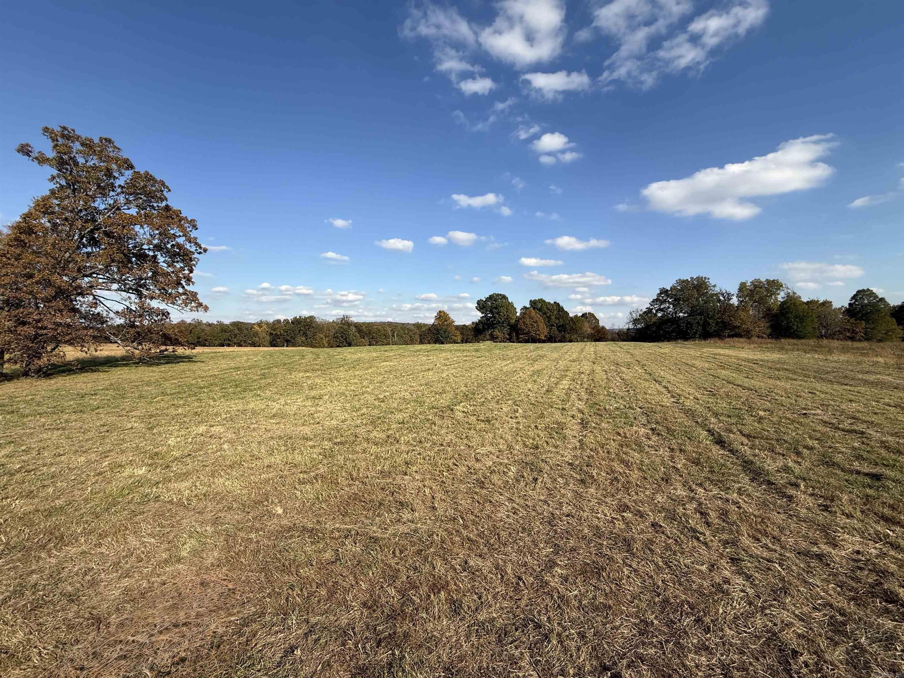 91 Valley Ranch  Mayflower, AR