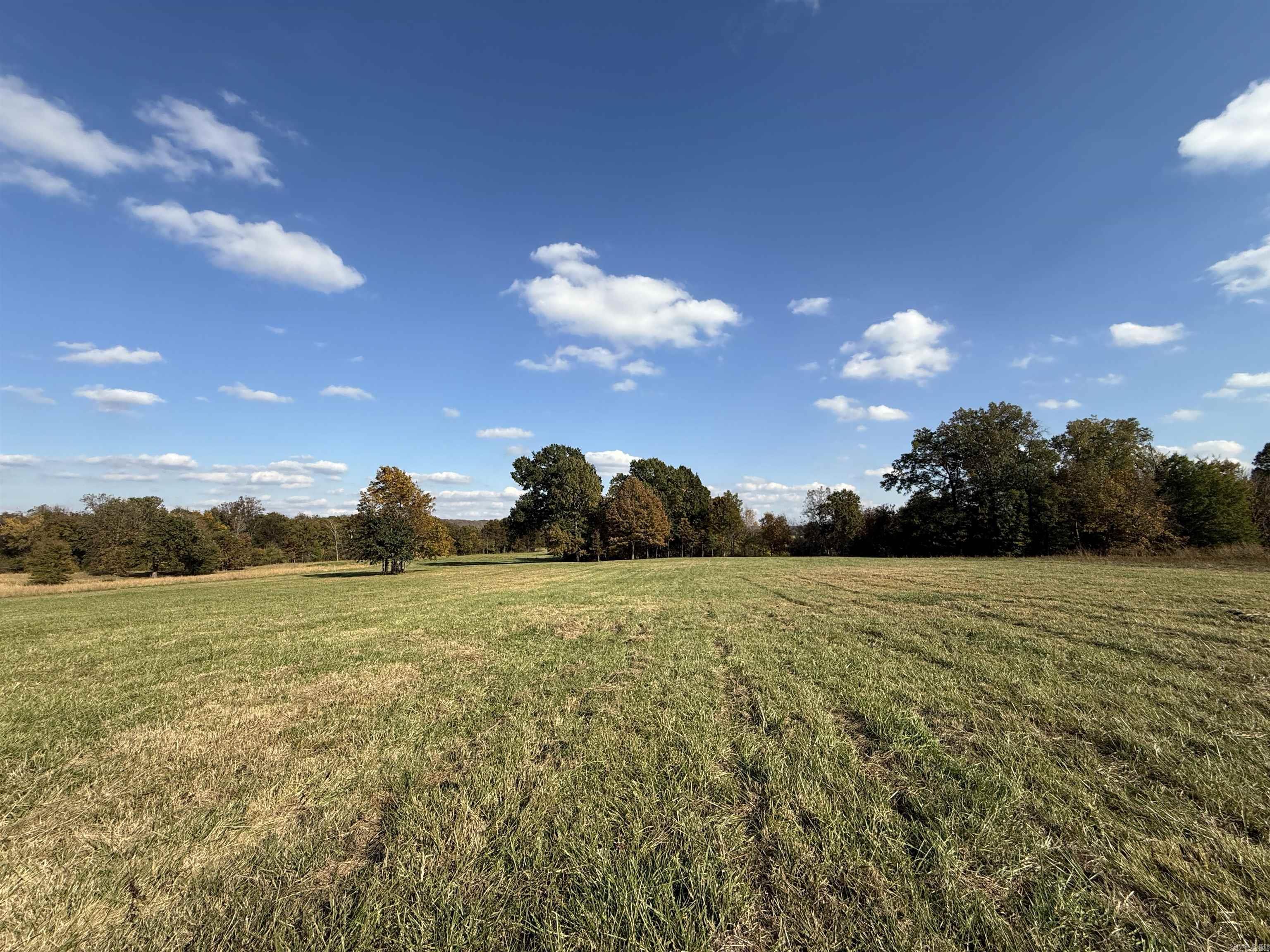 91 Valley Ranch  Mayflower, AR