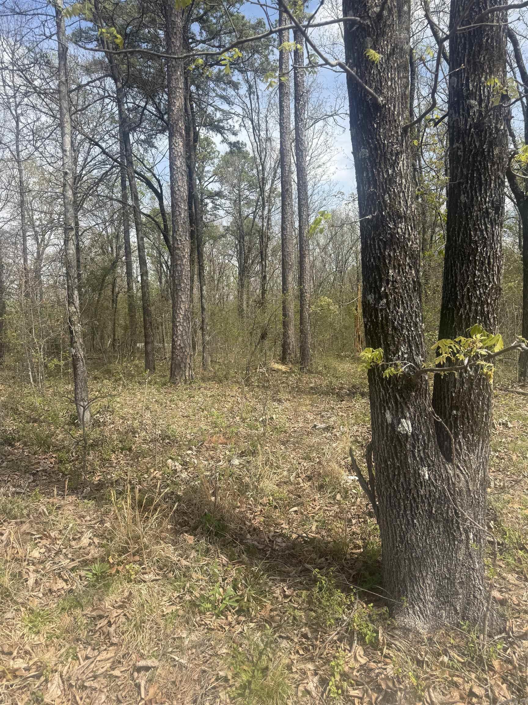  Greene 715 Rd  Paragould, AR