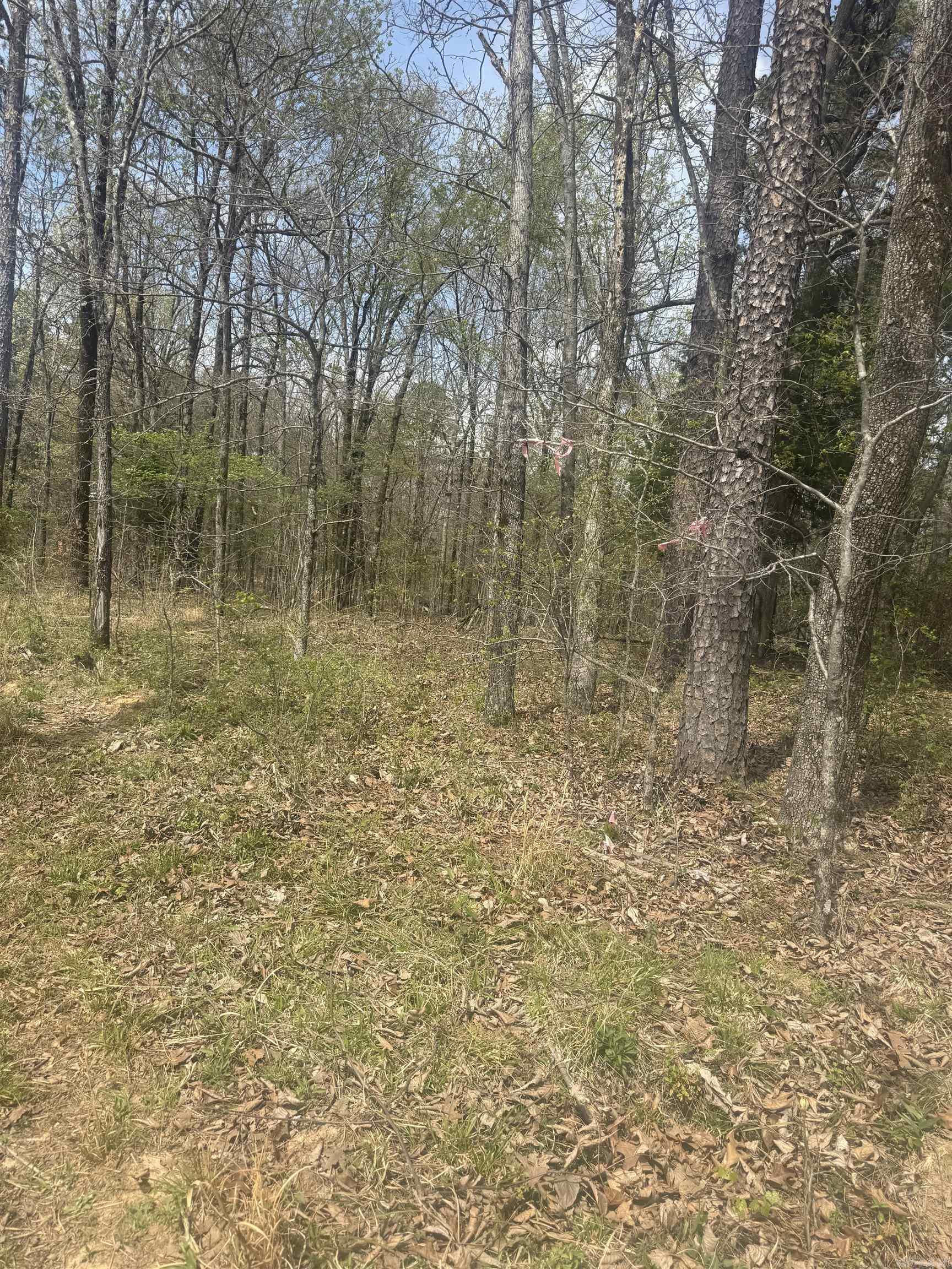  Greene 715 Rd  Paragould, AR