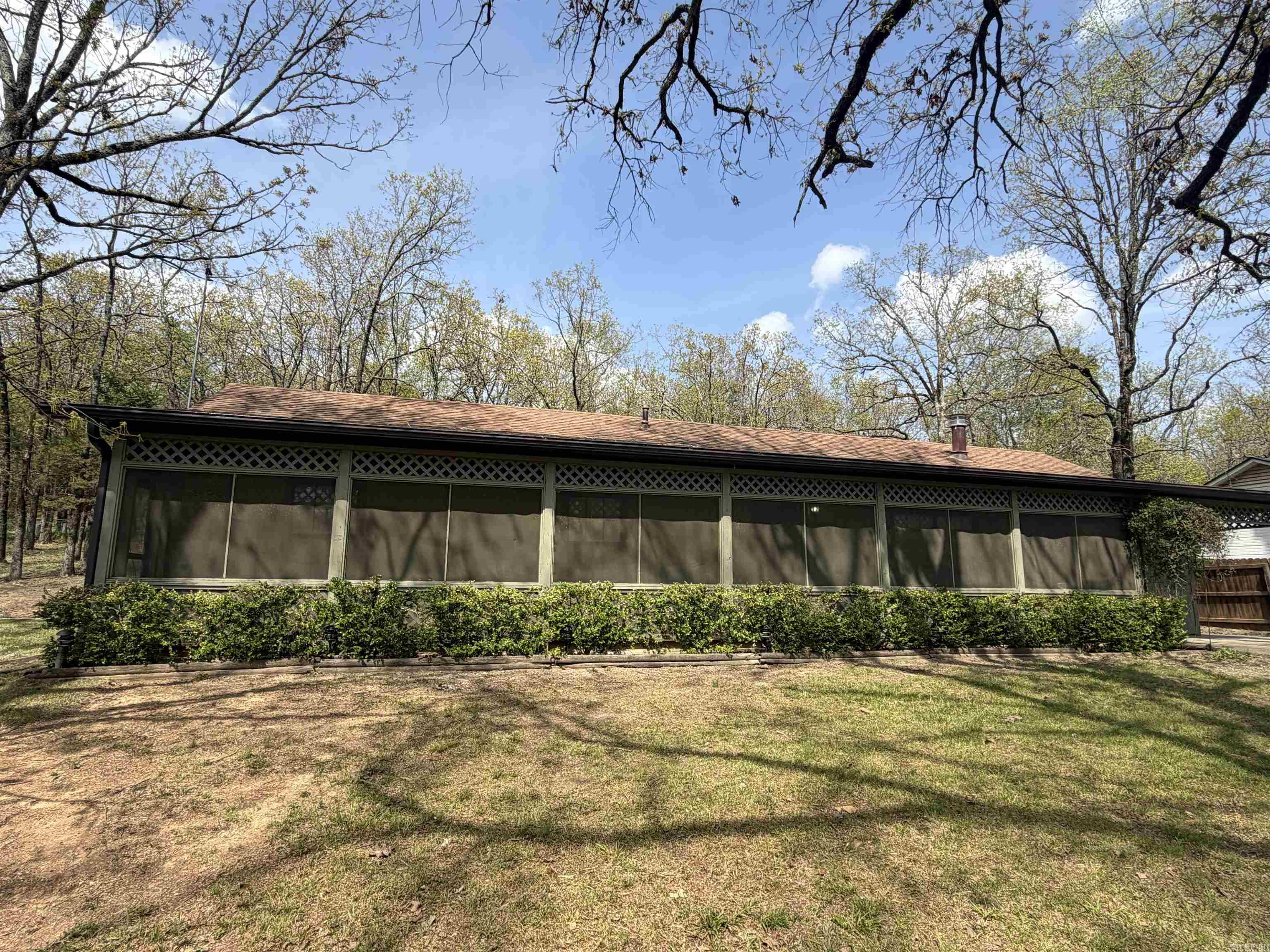 6 Cottontail  Conway, AR