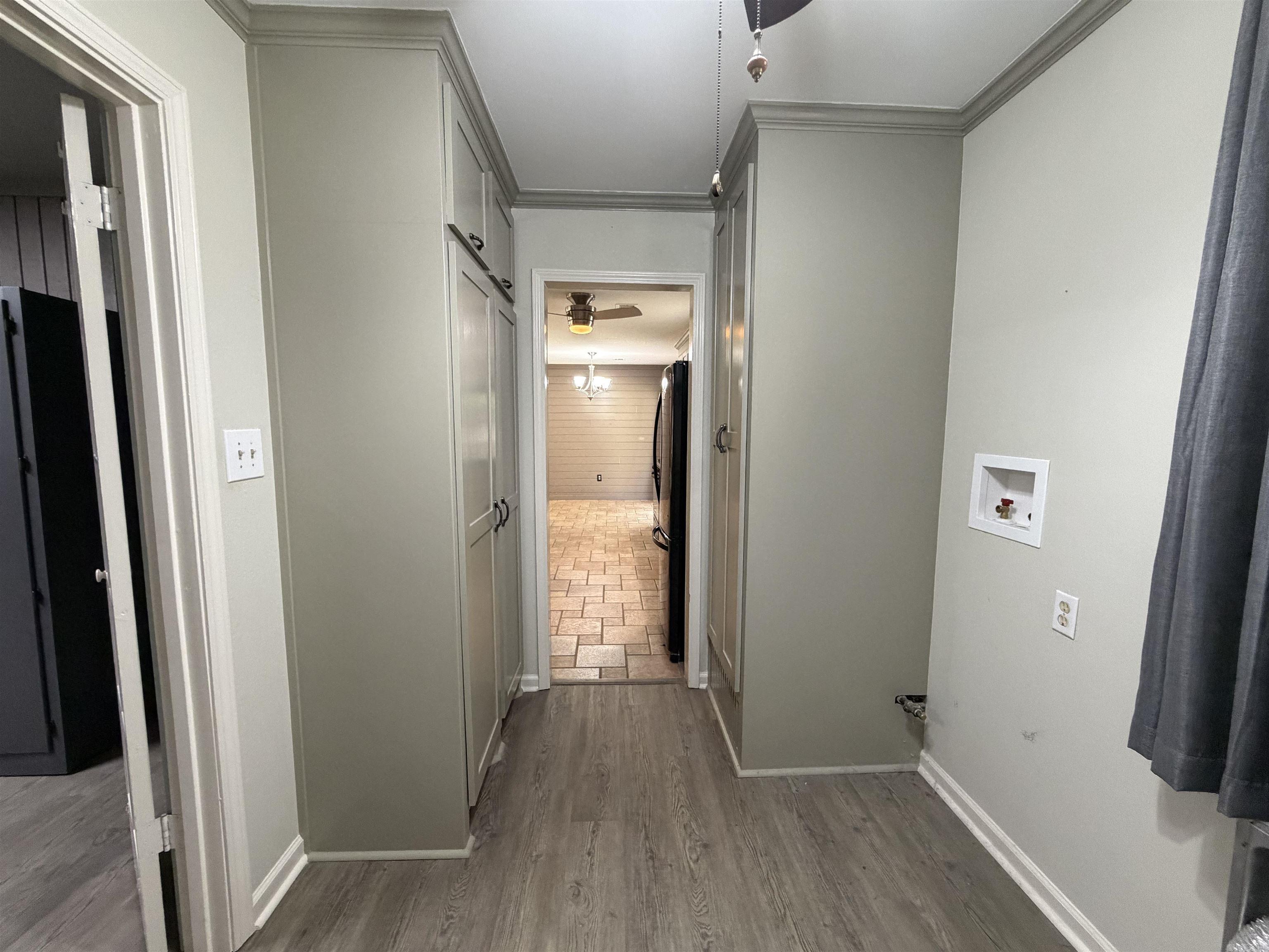 6 Cottontail  Conway, AR